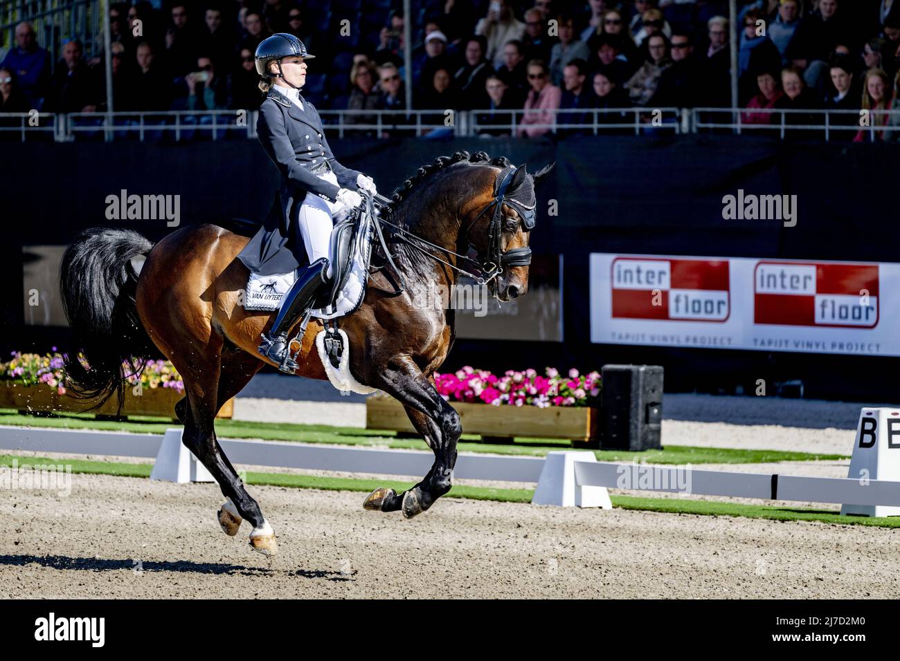 2022-05-08 17:00:45 ERMELO - Dinja van Liere and Hermès became champion during the Dutch dressage championship. ANP ROBIN UTRECHT netherlands out - belgium out Stock Photo