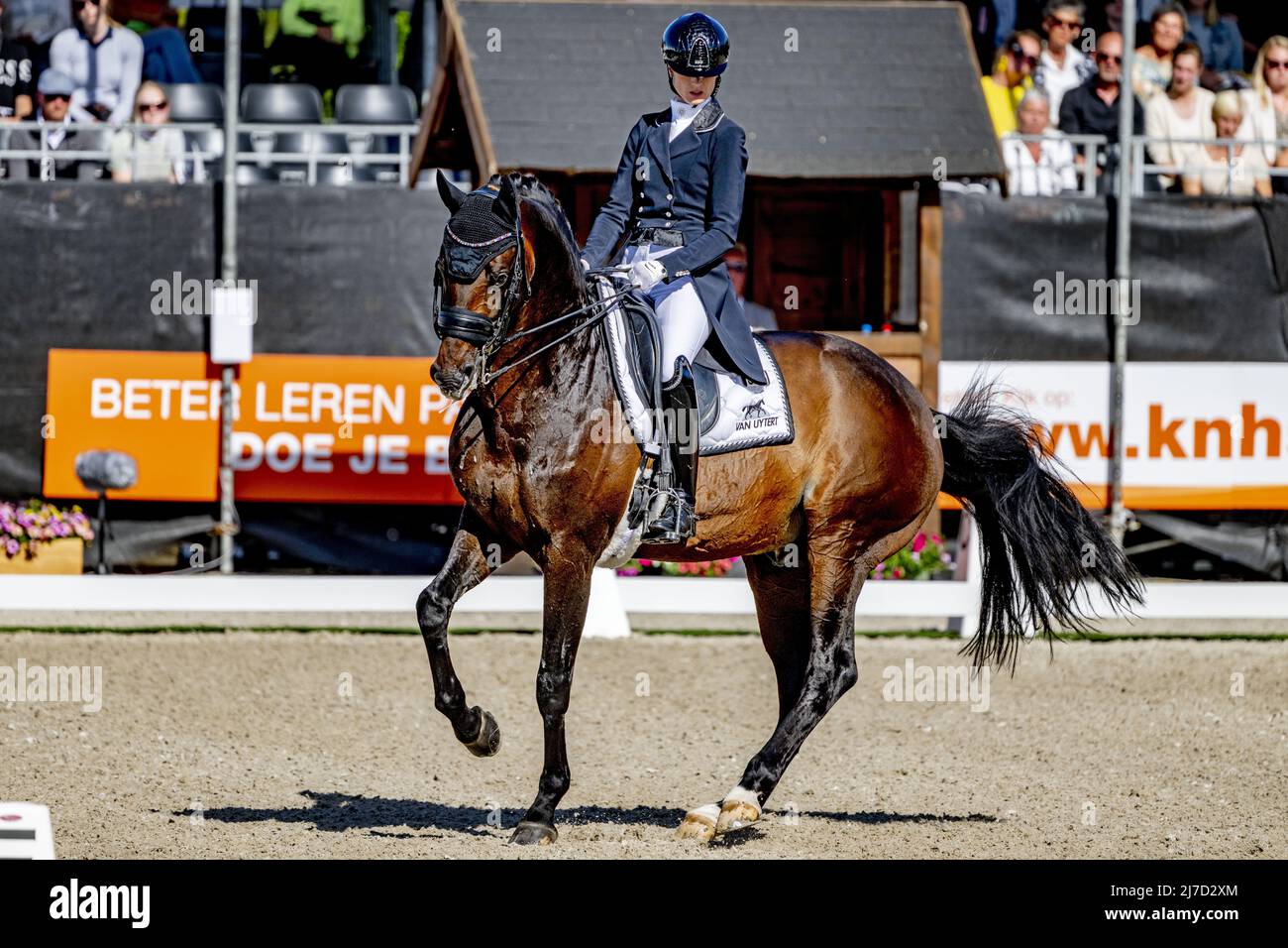 Ermelo, The Netherlands, 2022-05-08 16:59:14 ERMELO - Dinja van Liere and Hermès became champion during the Dutch dressage championship. ANP ROBIN UTRECHT netherlands out - belgium out Stock Photo