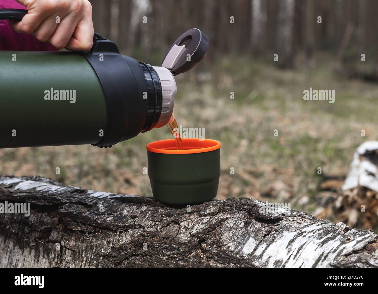 Premium Photo  A woman pours hot tea from a thermos.autumn mood.