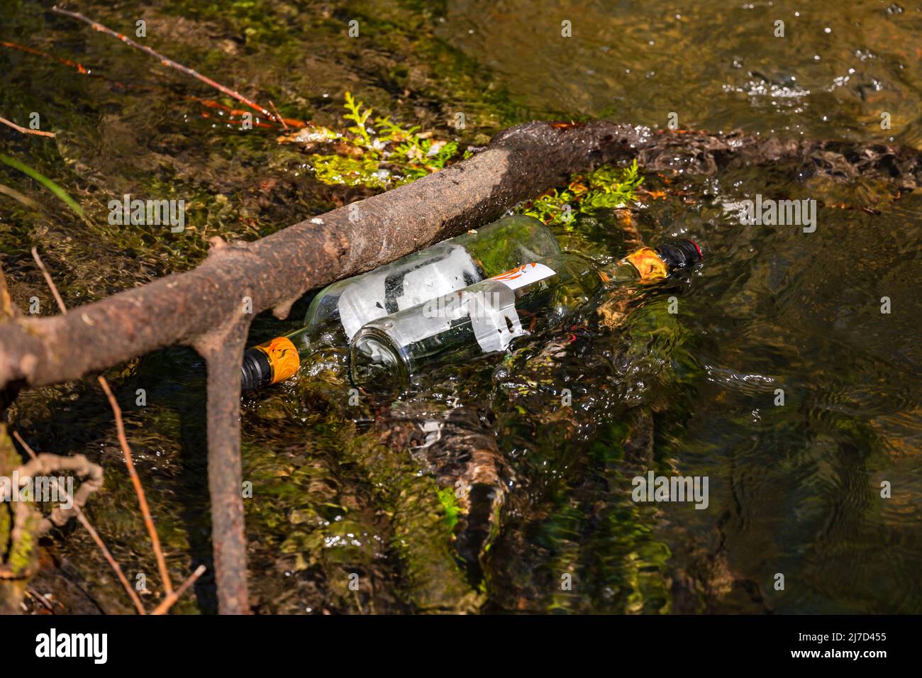 Wine bottles were disposed of in a stream and now pollute the environment Stock Photo