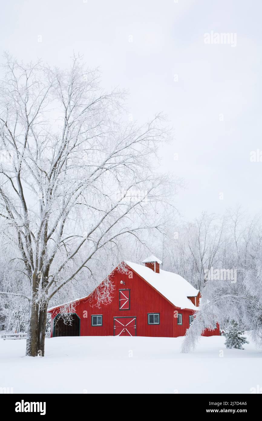 Red wood plank barn and frost covered trees in winter, Eastern Townships, Quebec, Canada Stock