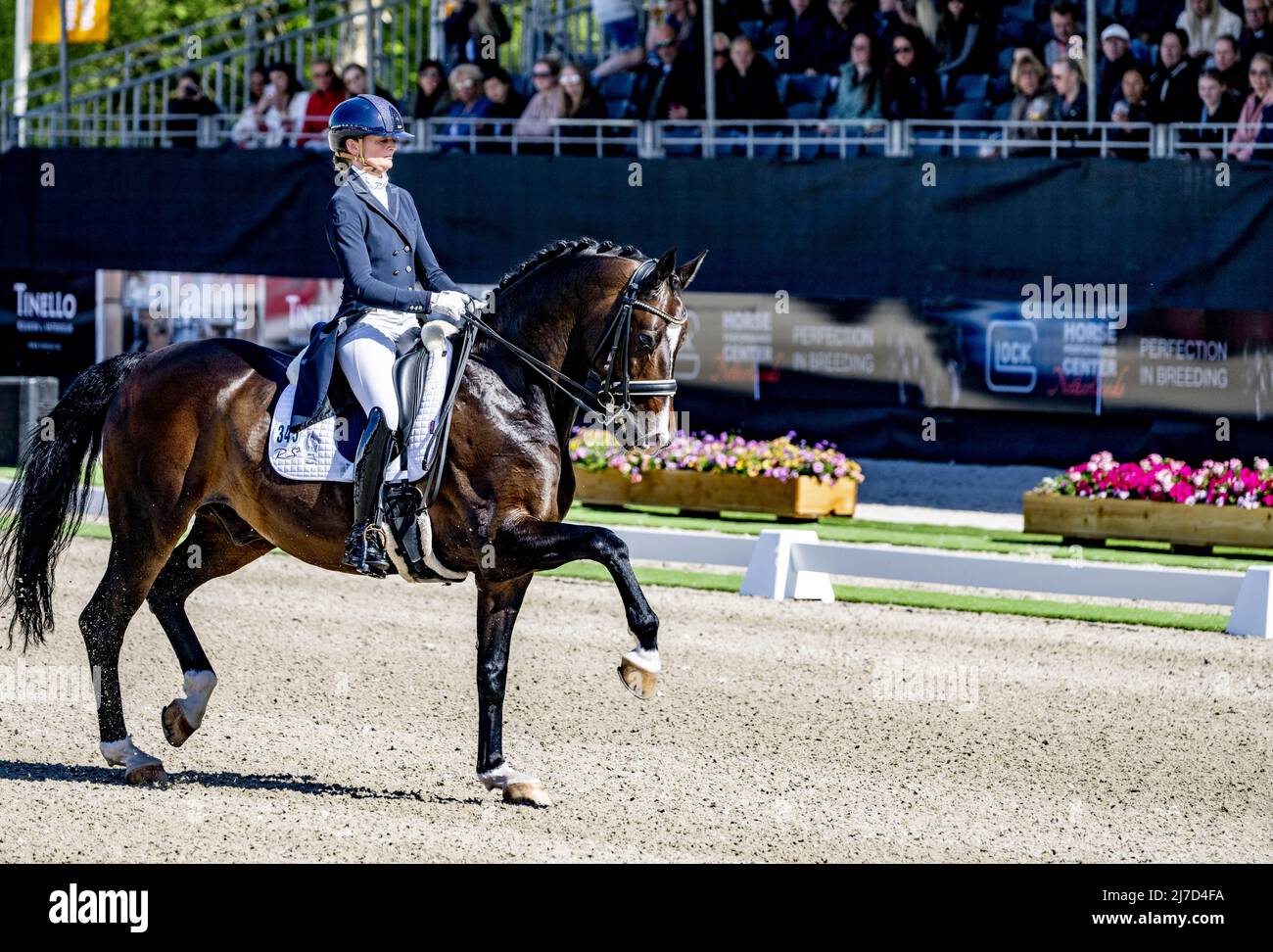 Ermelo, The Netherlands, 2022-05-08 16:18:39 ERMELO - Marieke van der Putten on Tørveslettens Titanium RS2 in action during the Dutch Dressage Championship. ANP ROBIN UTRECHT netherlands out - belgium out Stock Photo