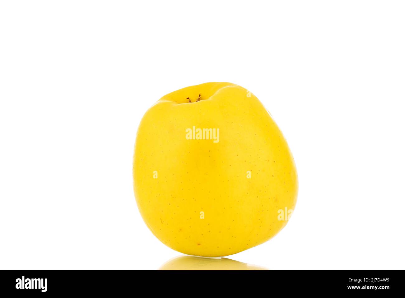 Single Apple Ripe One ripe orange apple hi-res stock photography and images - Alamy