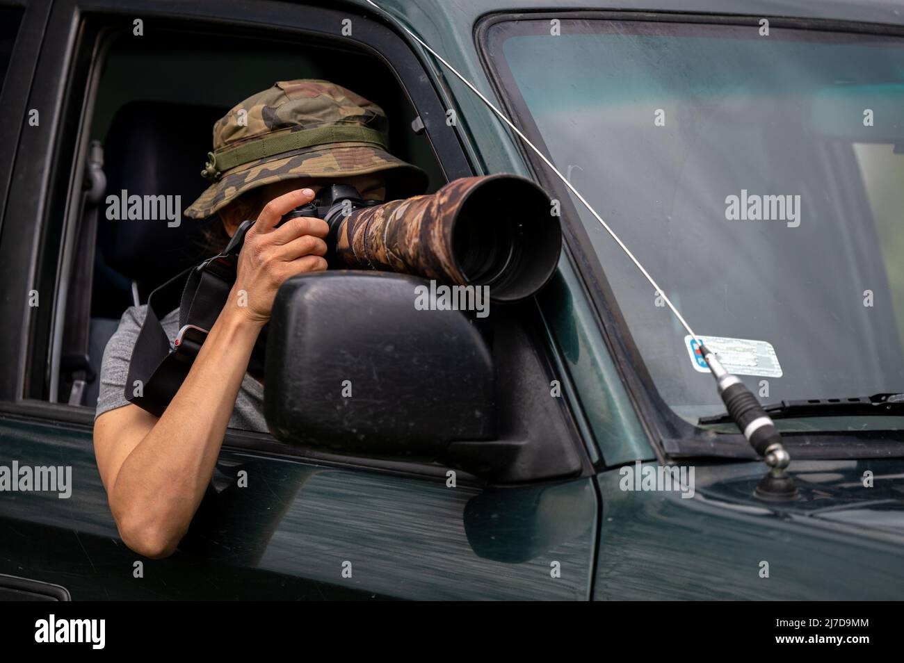Female paparazzi detective taking pictures from the hide. Stock Photo