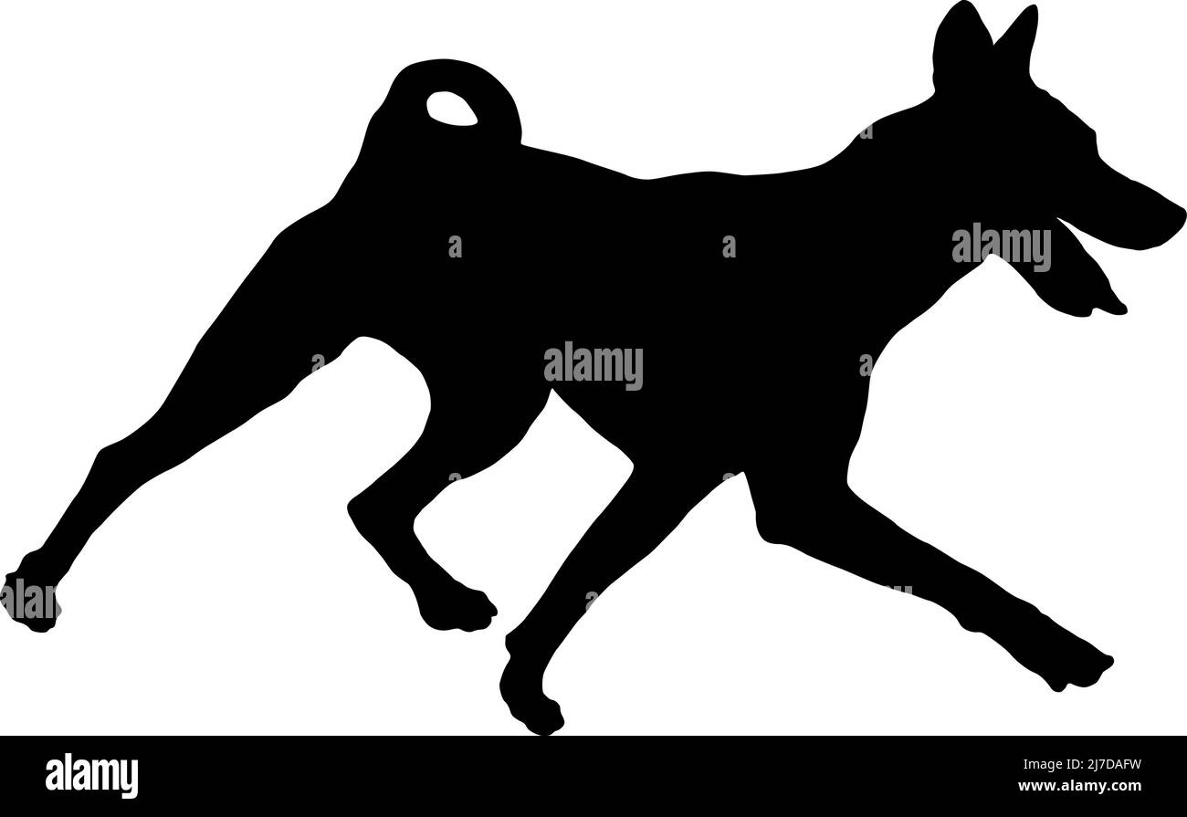 Black dog silhouette. Running basenji puppy. African bush dog or congo dog. Pet animals. Isolated on a white background. Vector illustration. Stock Vector