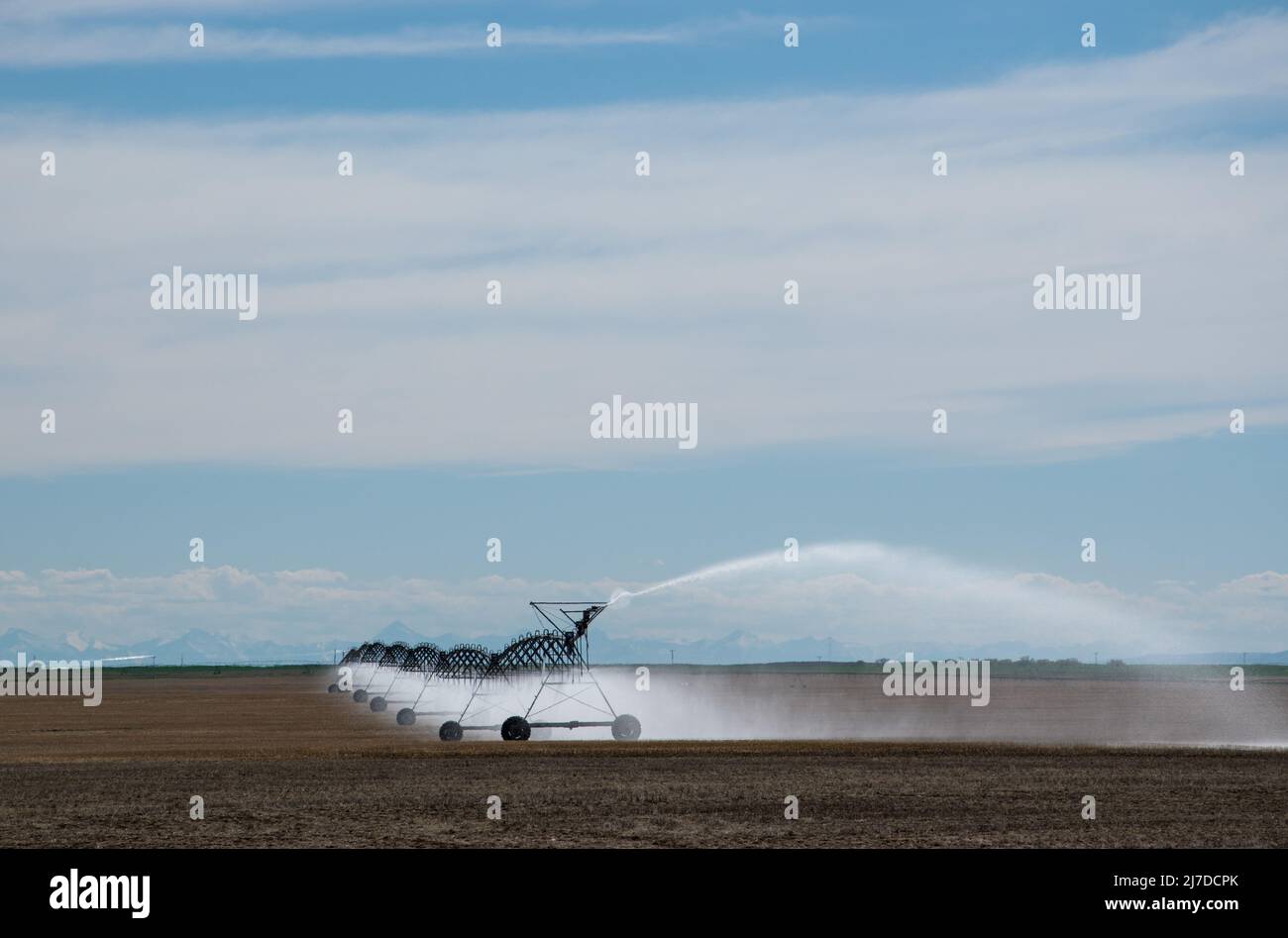 Center pivot irrigation system with low pressure spray nozzles on a field in southern Alberta, Canada. Stock Photo