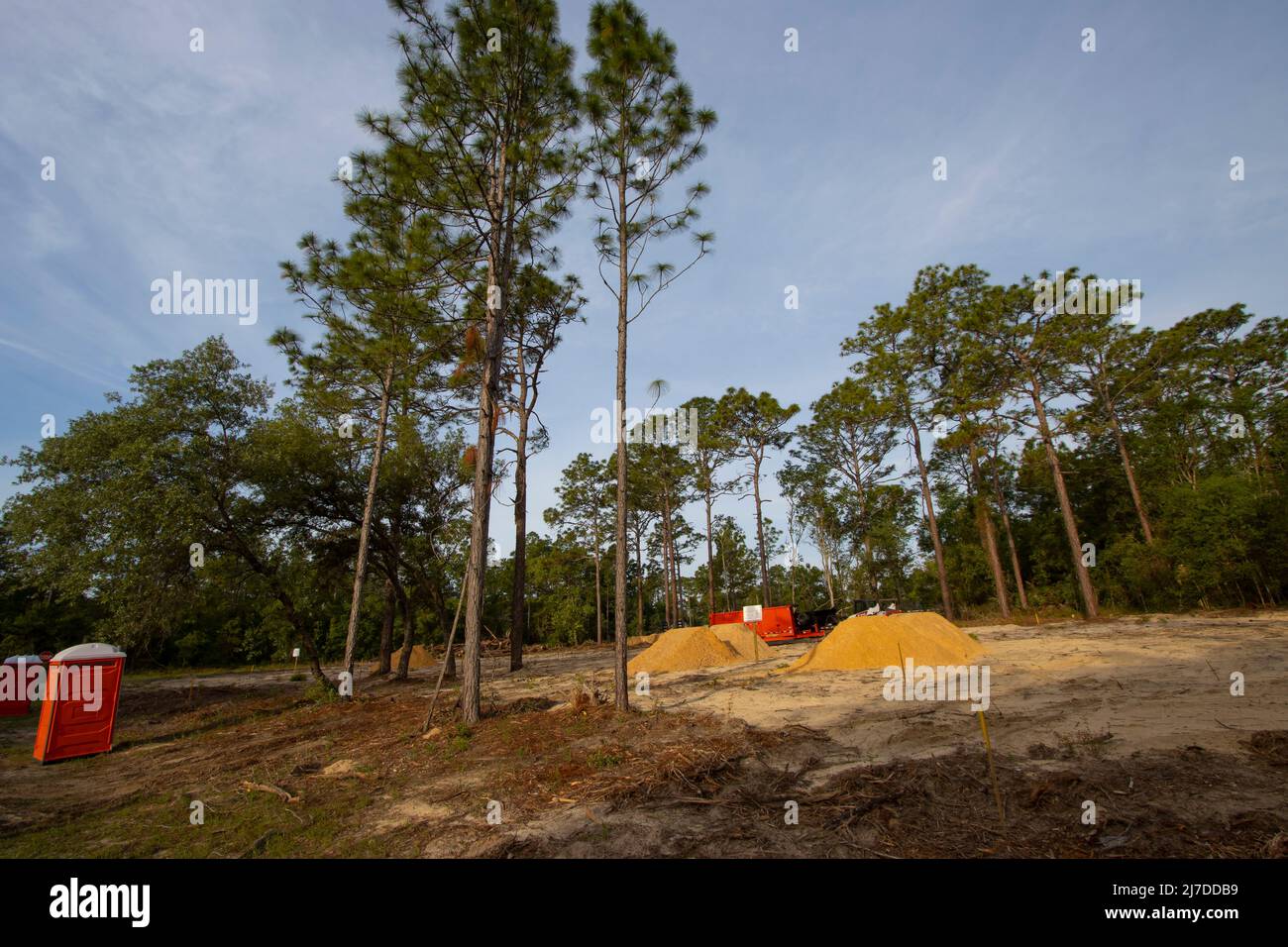 Native forest habitat destroyed for new housing construction in north central Florida Stock Photo