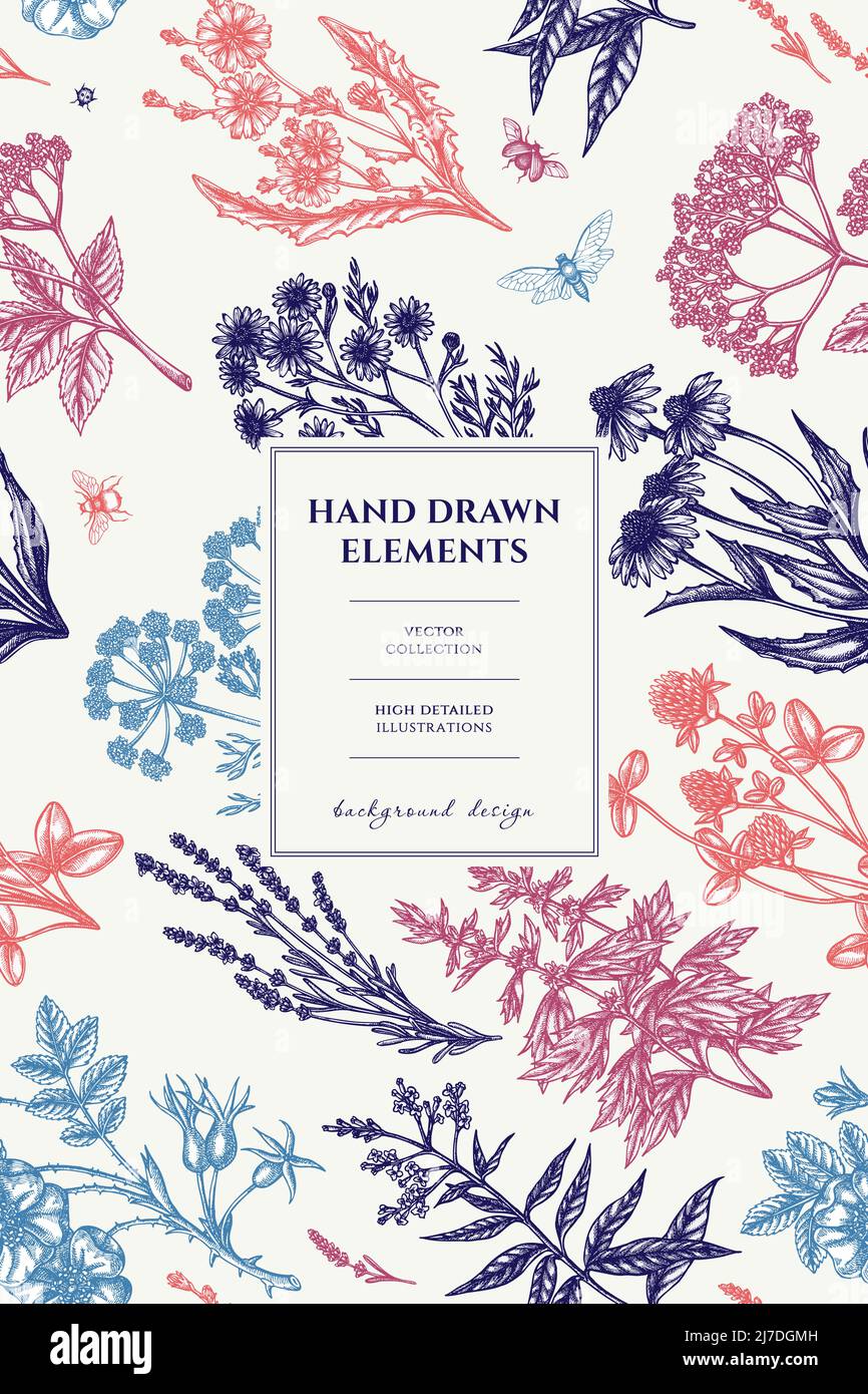 Tea herbs pattern card design. Hand drawn chamomile, chicory, cinnamon rose, etc. Stock Vector