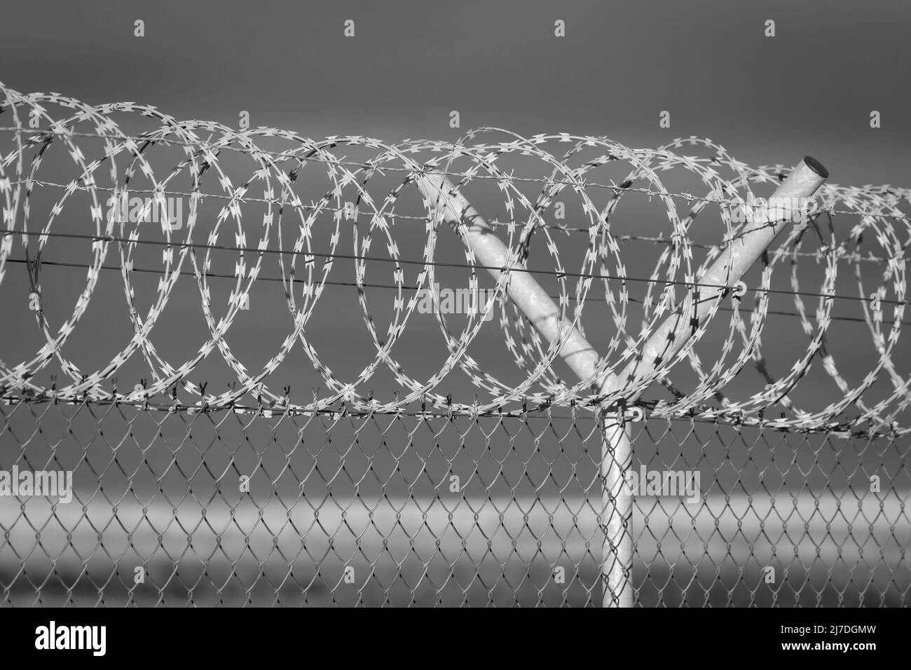 Closeup focus view of NATO barb wire with sharp and dangerous razor blades Stock Photo