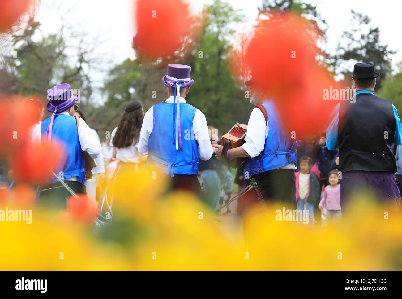 Edenbridge Morris dancers performing at Hever Castle on a miserable May Day weekend, 2022, in Kent, UK Stock Photo