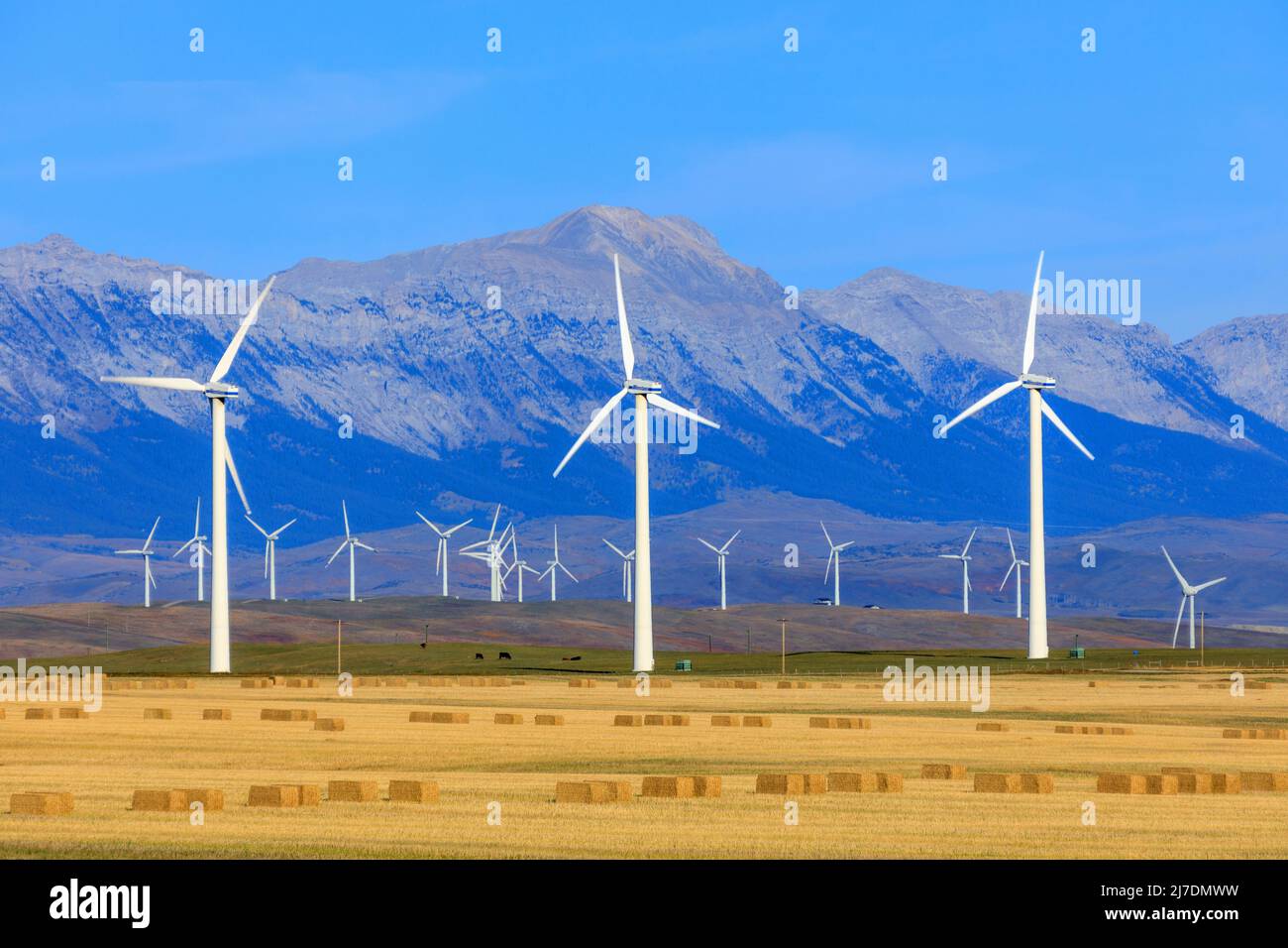 A wind turbine is a device that converts the kinetic energy of wind into electrical energy in installations known as wind farms. Stock Photo