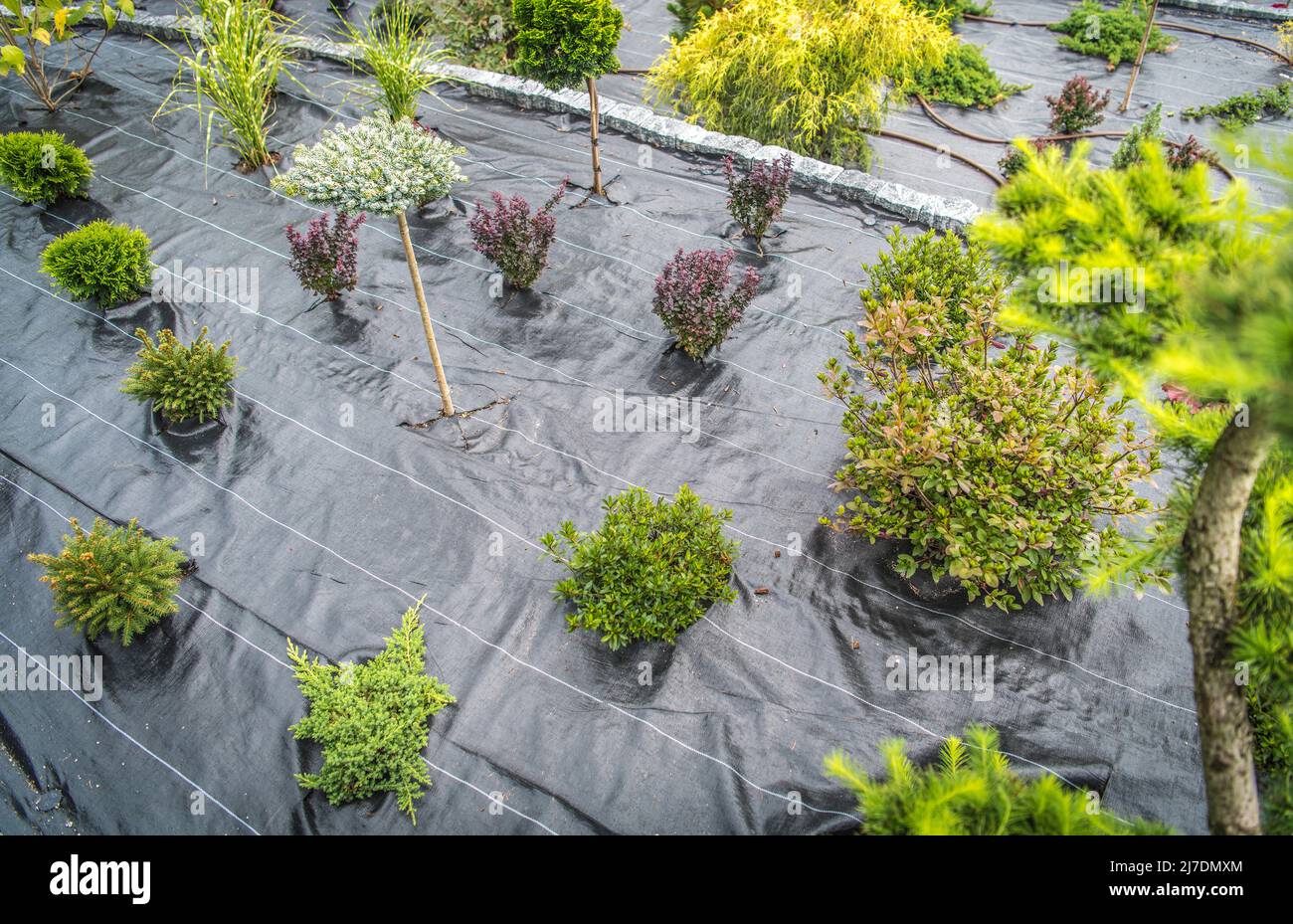 Weed Control Fabric In the Newly Created Backyard Garden. Drip Irrigation System in the Background. Landscaping Industry Theme. Stock Photo