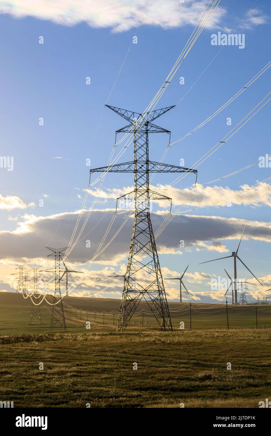 Electricy transmission metal utility pole power infrastructure in the