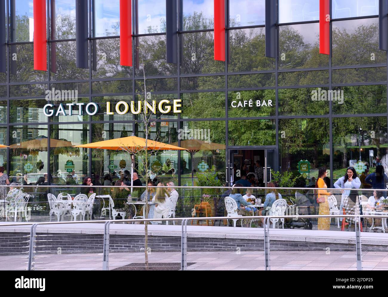 Stock Images of Pontypridd , Nantgarw and Taffs Well  The Gatto Lounge at  Llys Cadwyn Pontypridd  Picture by Richard Williams Photography Stock Photo