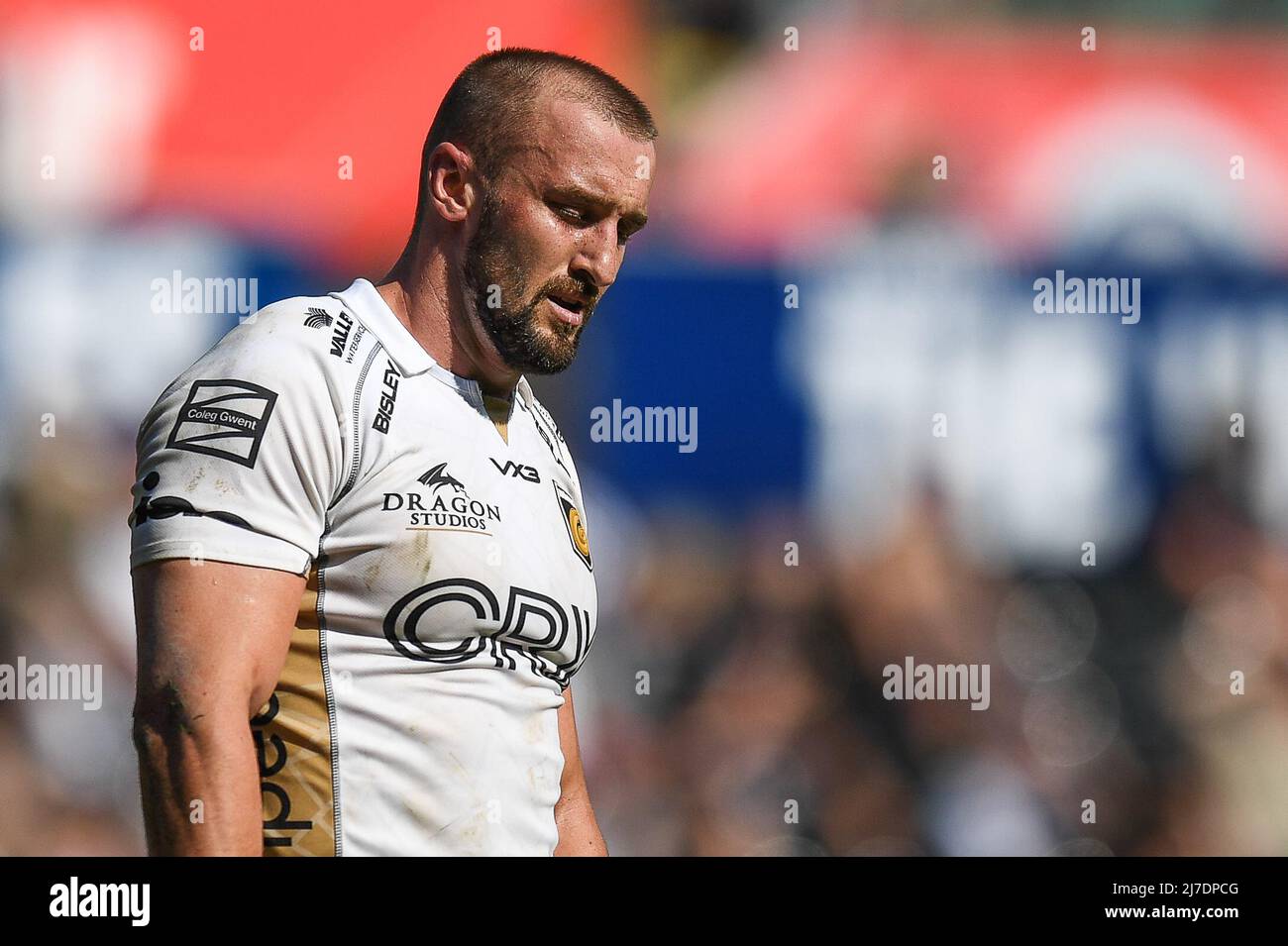 Ollie Griffiths of Dragons, during the game Stock Photo Alamy