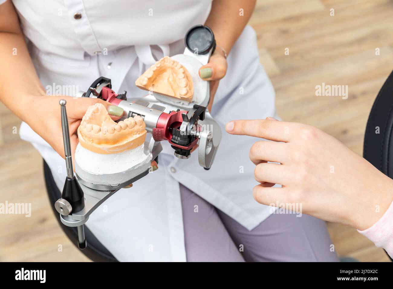 Dentist showing to a client dental articulator with dental gypsum