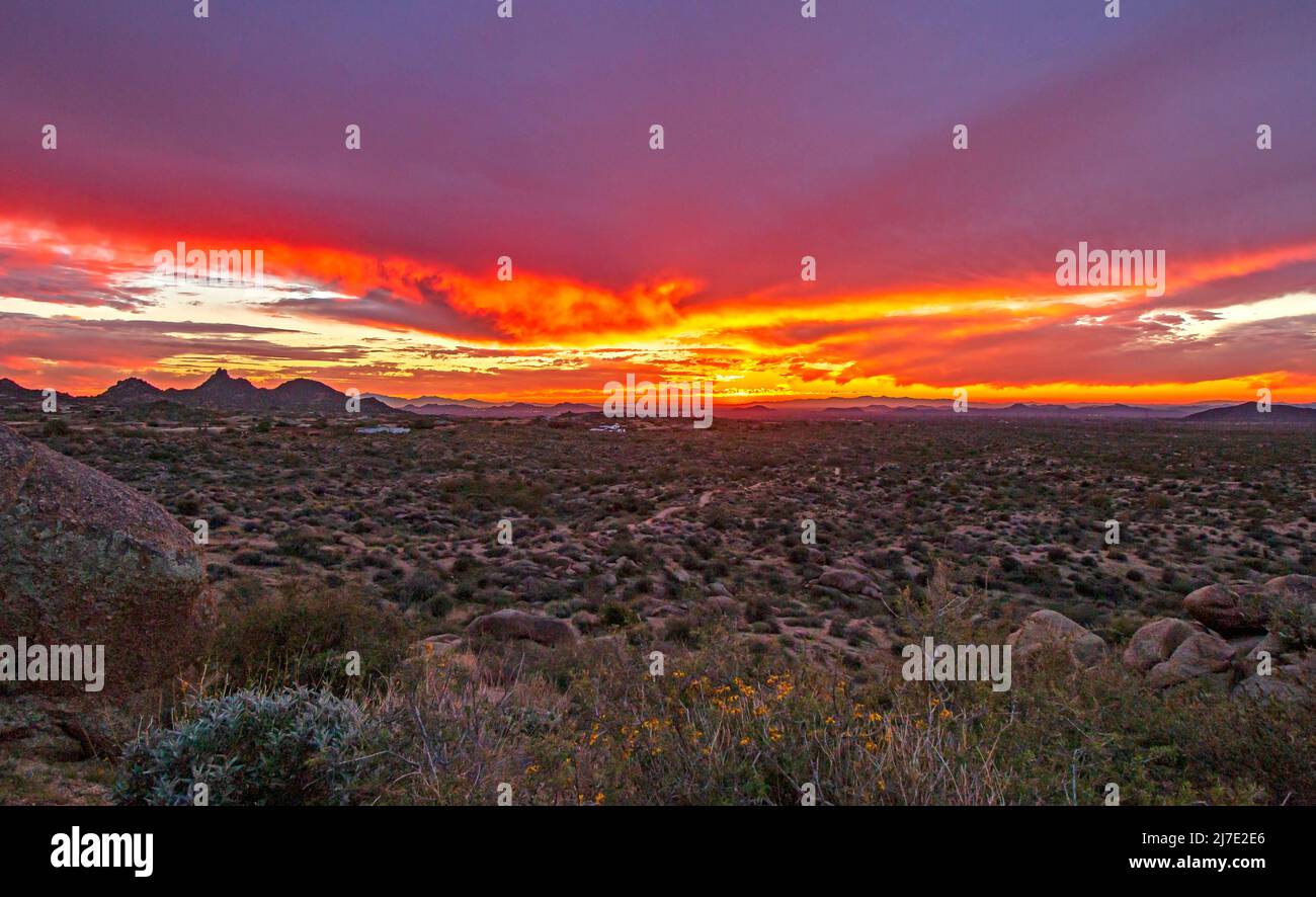 Colorful Desert Sunset Landscape In Scottsdale, AZ Stock Photo