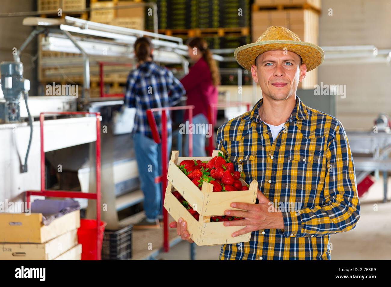 Young male farmer stands with a crate of ripe strawberries in a ...