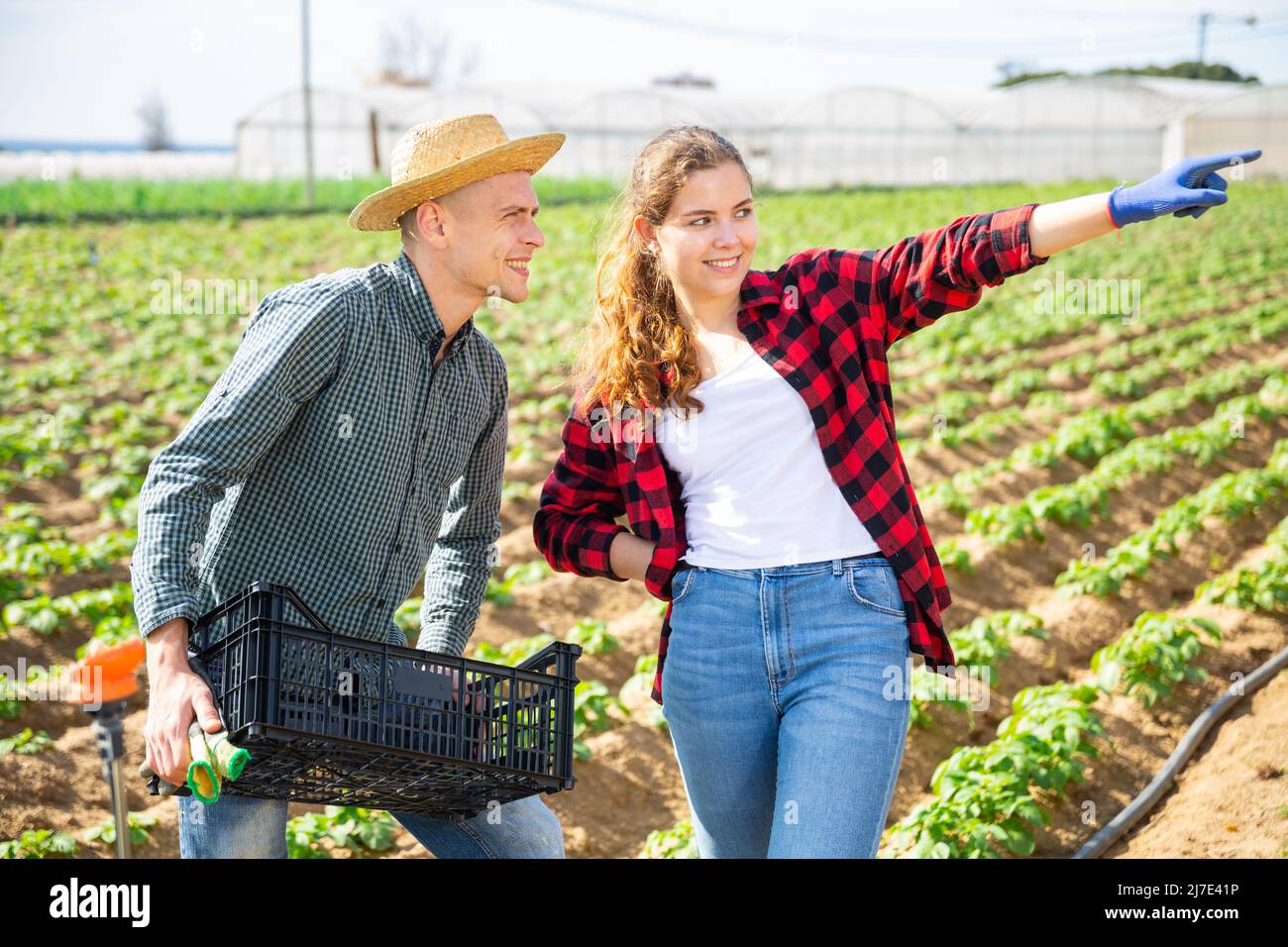 Young farmer couple talking on vegetable farm field Stock Photo - Alamy