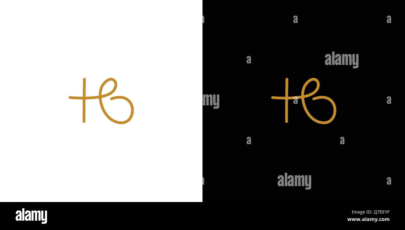 modern and unique handwritten letter HB initials logo design Stock Vector