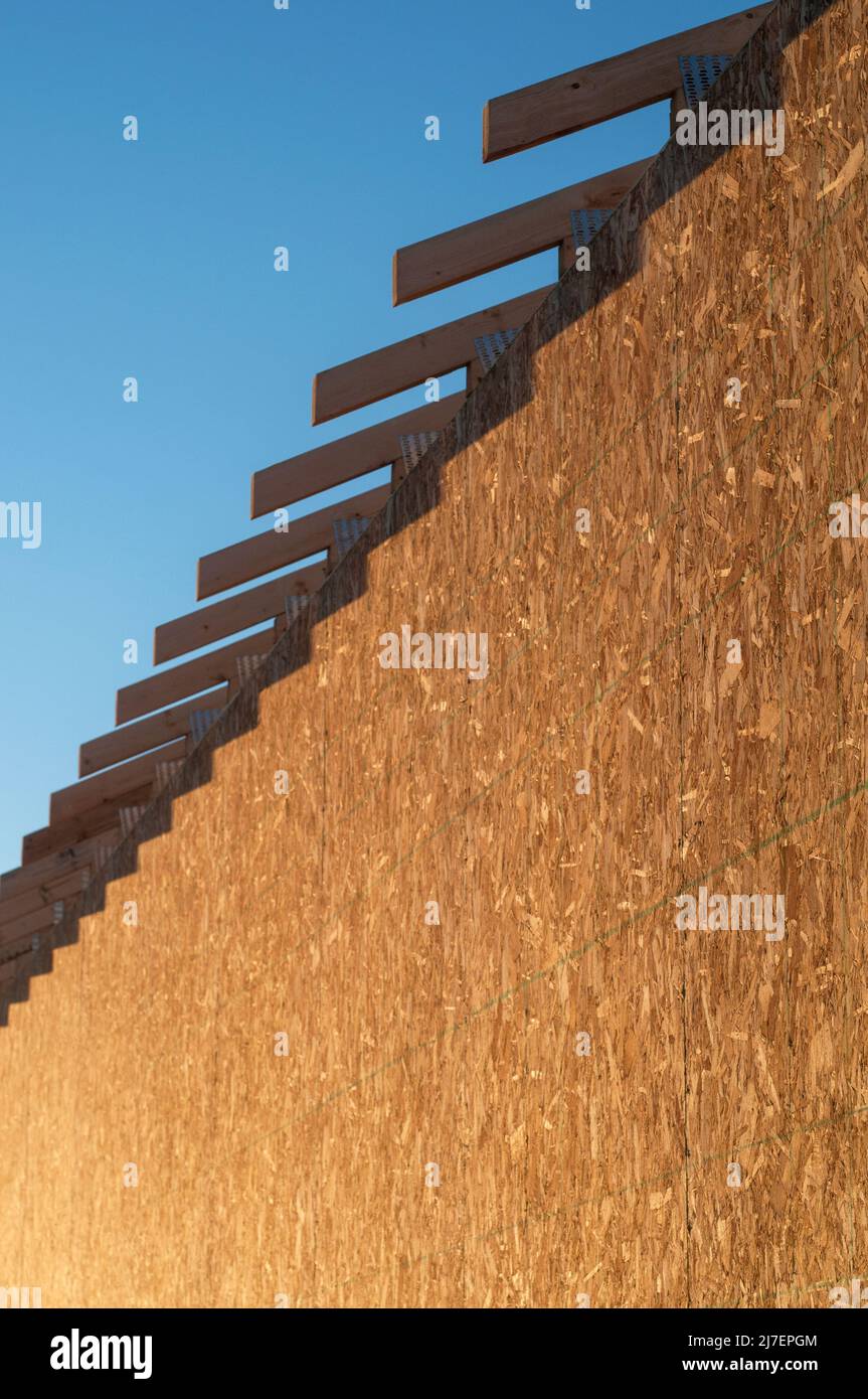 Sheets of oriented strand board on the side of a house under construction. Stock Photo