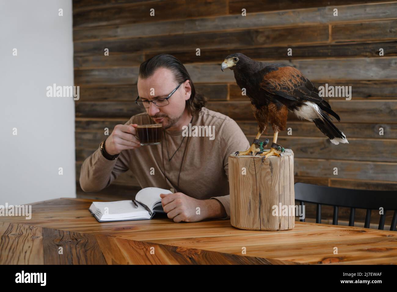 Man is working, writing with wild bird at home by the table. Making noted, memories, diary with eagle as pet. Unusual animals at home. Human Stock Photo