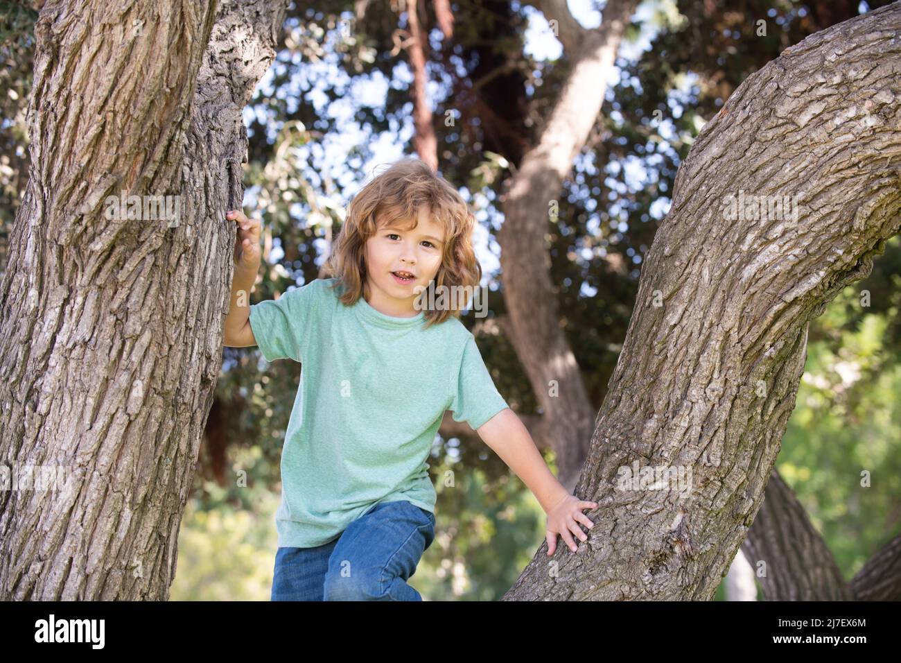 Young child blond boy climbing tree. Happy child playing in the garden