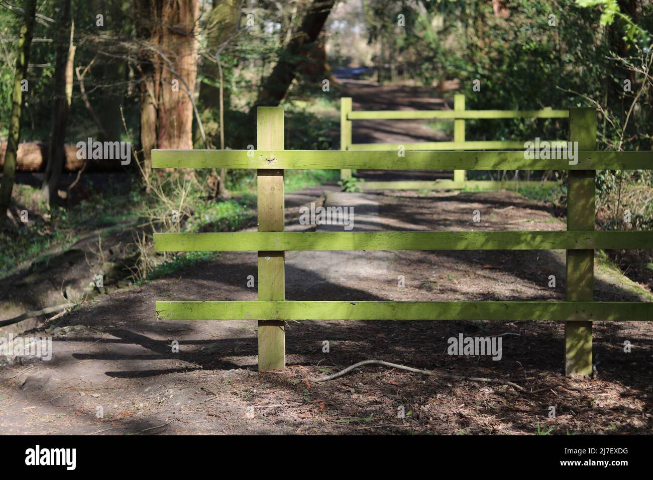 View of wooden fencing and trees in woods in background Stock Photo - Alamy