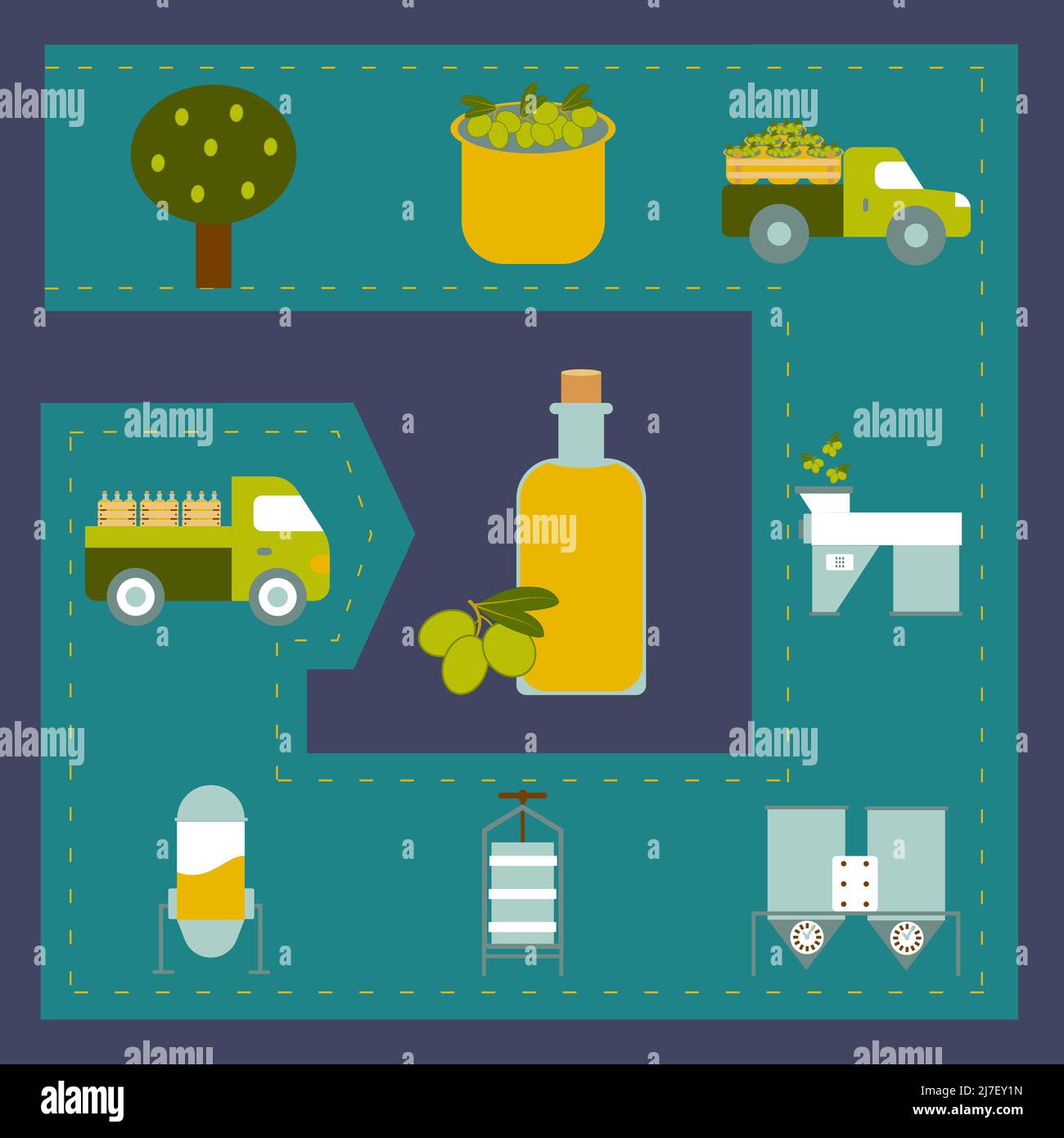 Olive oil production infographic. Set of colorful illustrations. Vector