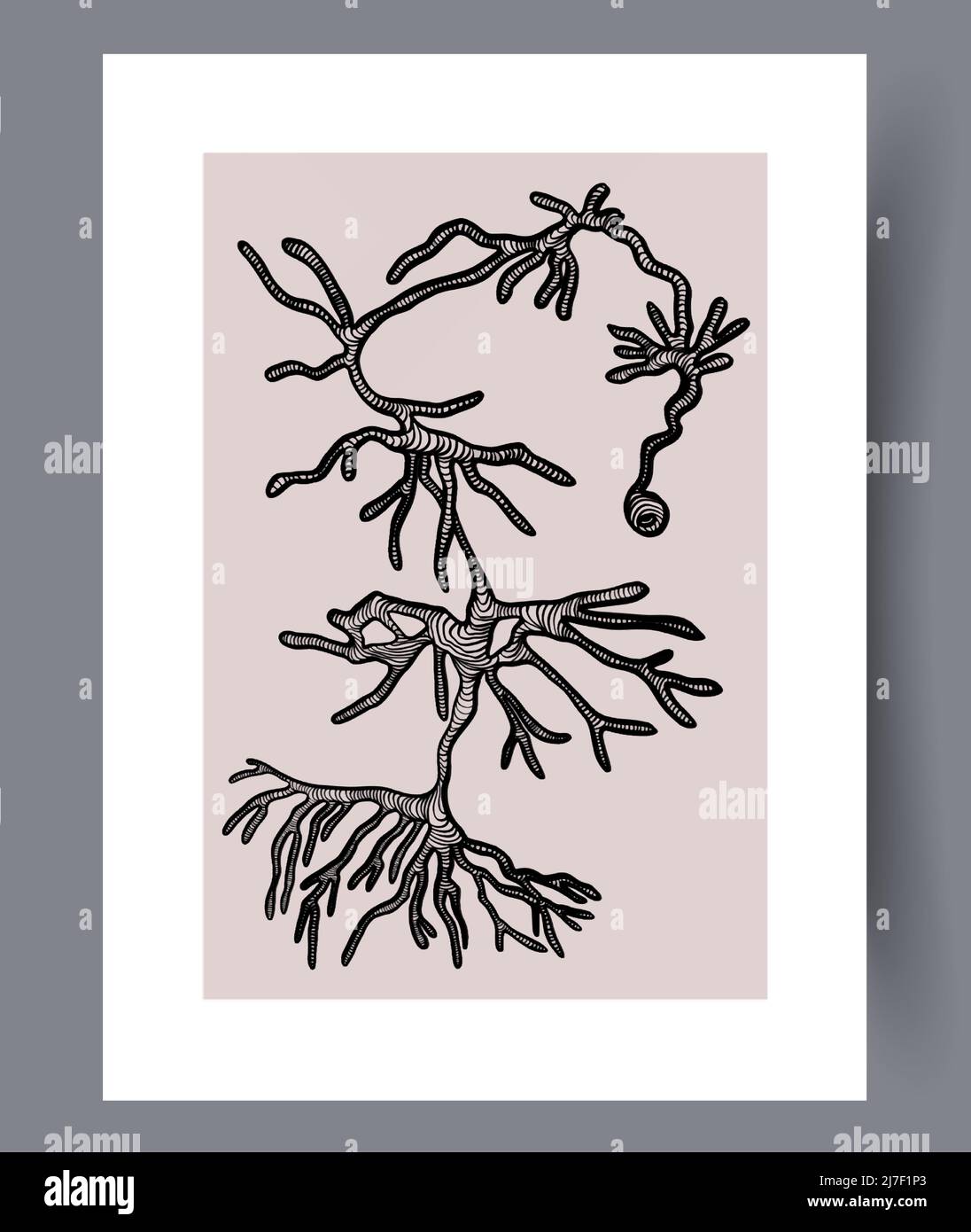Scandinavian abstract vector print set Stock Vector Image & Art - Alamy