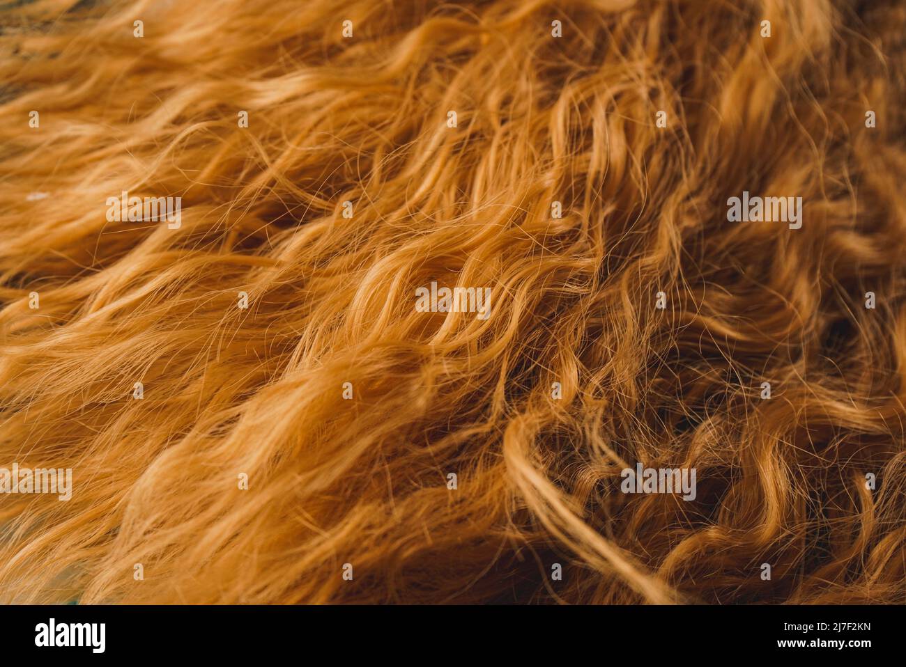 Textured image of a close up of the redhead hair of an natural wig Stock Photo