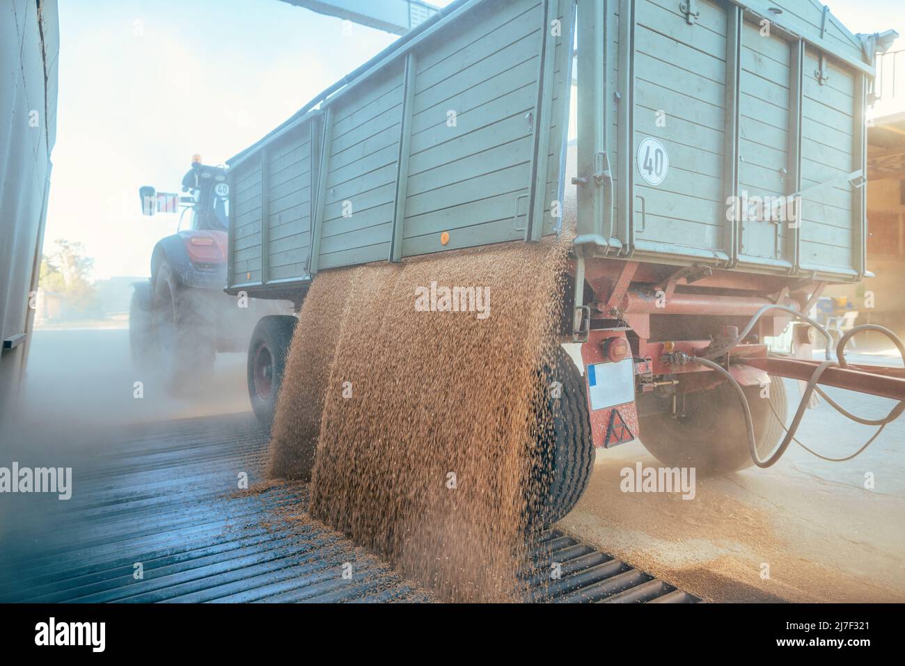 Farmer unloading his grain harvest to the granary Stock Photo