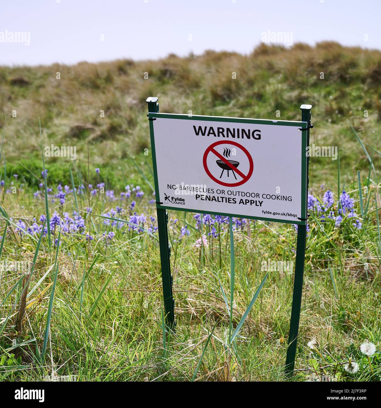 No barbecues sign in field of bluebells on a spring day Stock Photo