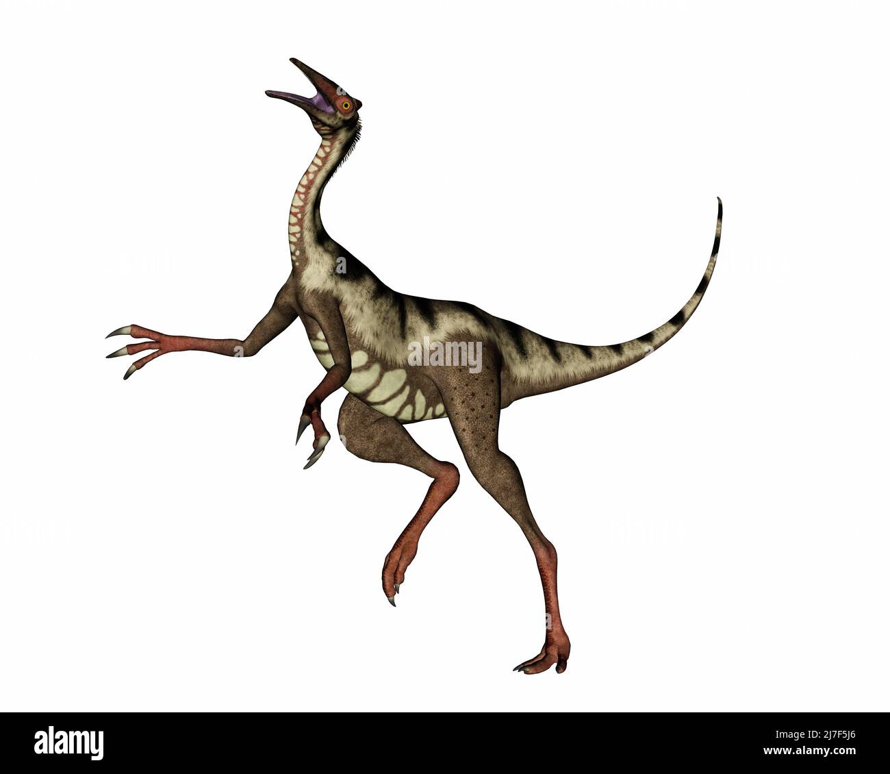 Dino run hi-res stock photography and images - Page 4 - Alamy