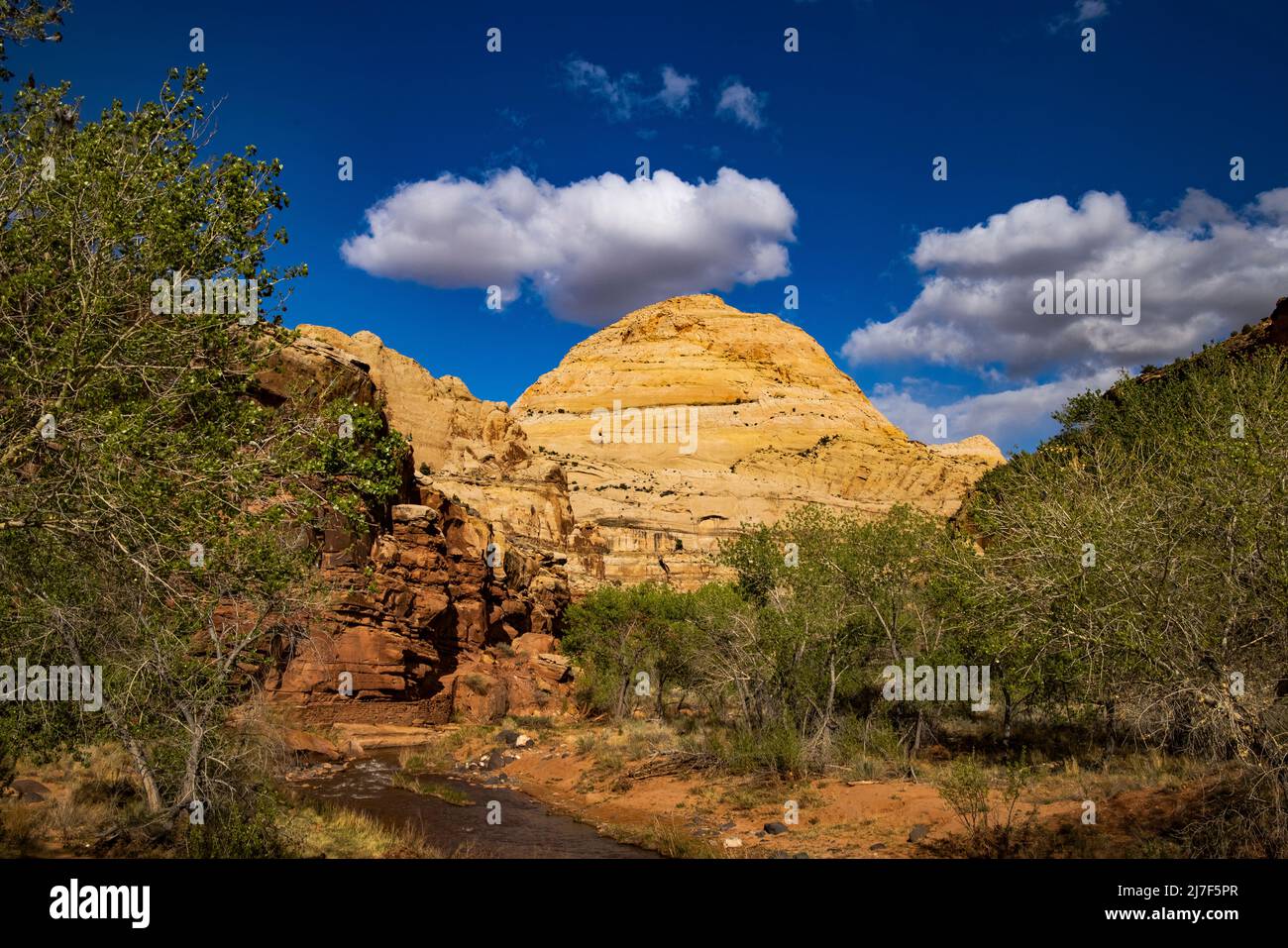 This is a springtime view of Capitol Dome, one of the namesakes of Capitol Reef National Park, Torrey, Wayne County, Utah, USA. Stock Photo