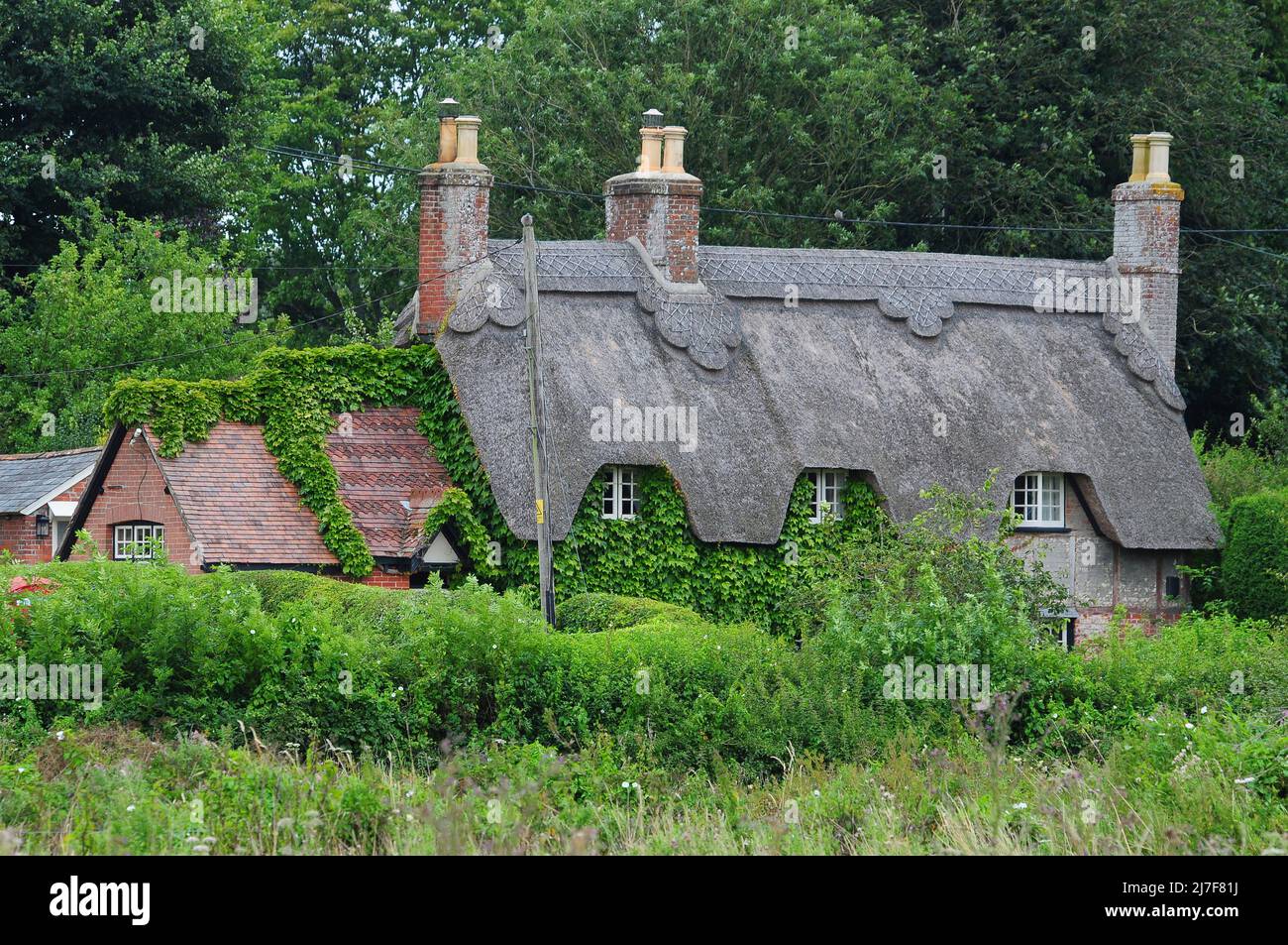 Thatched cottage in Wimborne St.Giles village in north Dorset, England