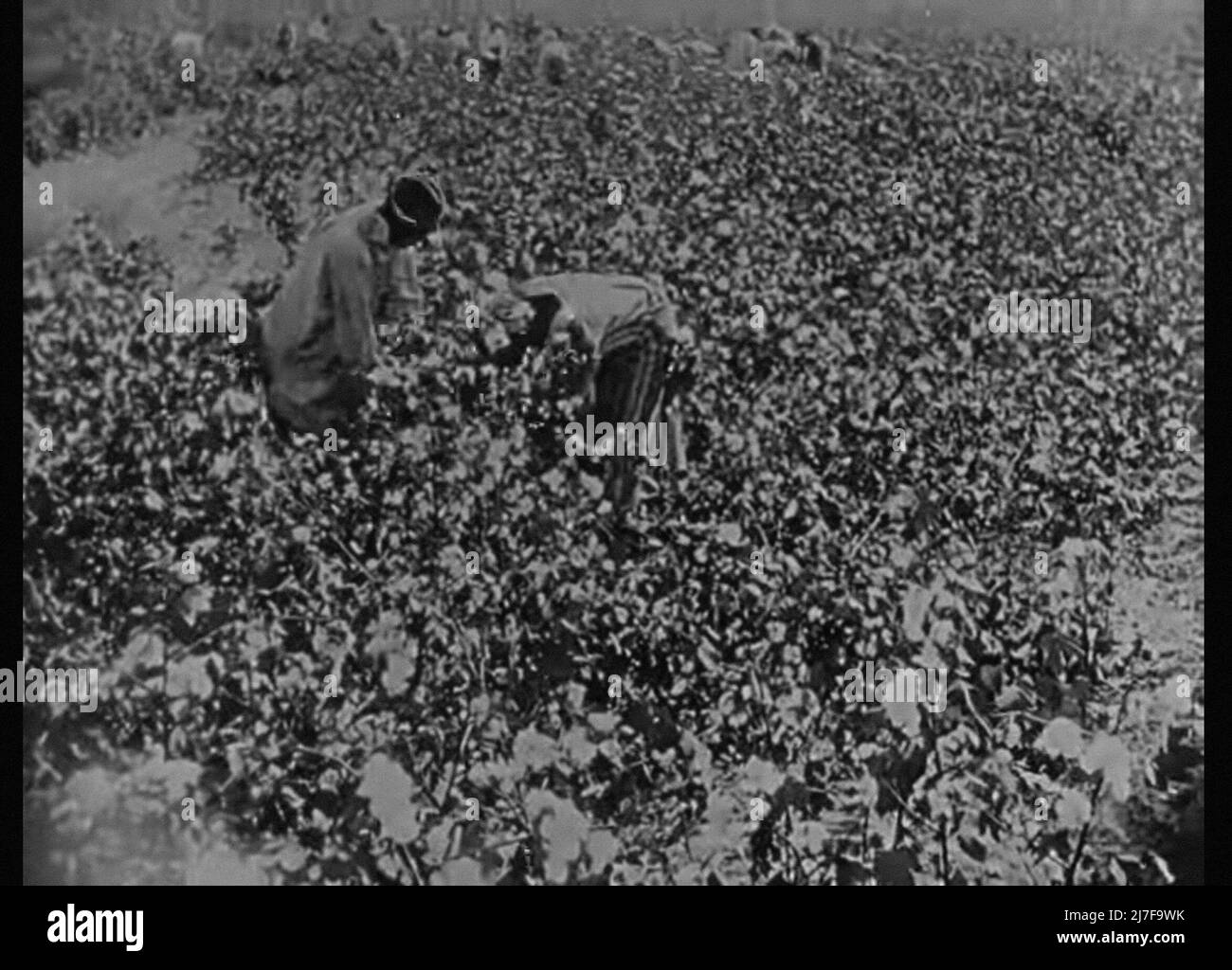 Nation matter Black and White Stock Photos & Images - Alamy