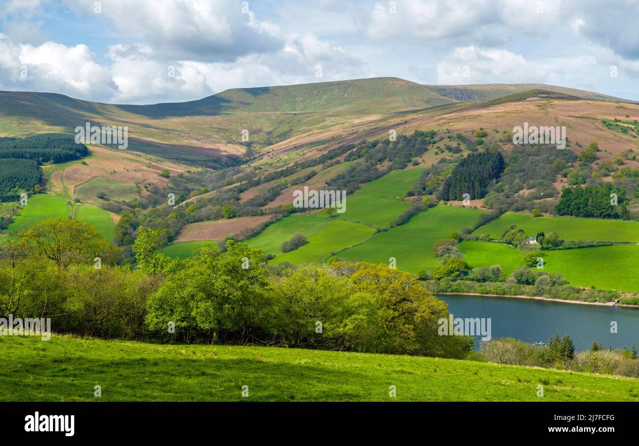 A view of the mountain of Waun Rydd across the Talybont Valley in the Central Brecon Beacons on a sunny May day Stock Photo