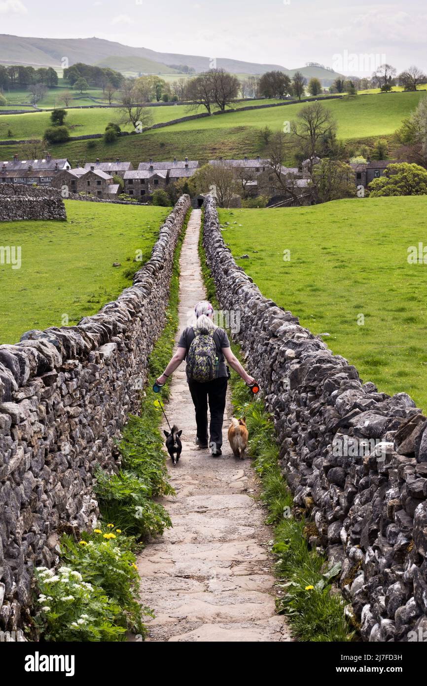 Walking dogs on a public footpath in the countryside, Grassington, Yorkshire Dales National Park, UK Stock Photo
