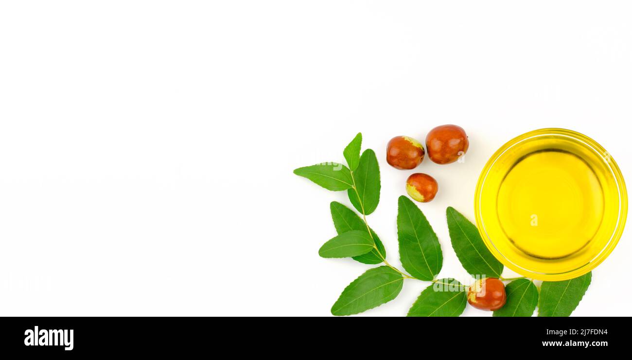 Fresh ripe jojoba fruit and jojoba oil in bowl on white background, banner Stock Photo
