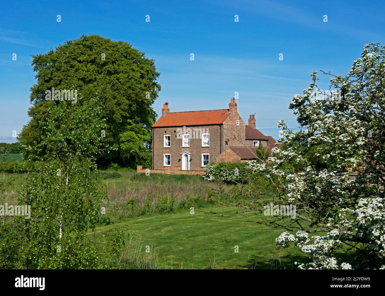 Farmhouse in Faxfleet, East Yorkshire, England UK Stock Photo Alamy