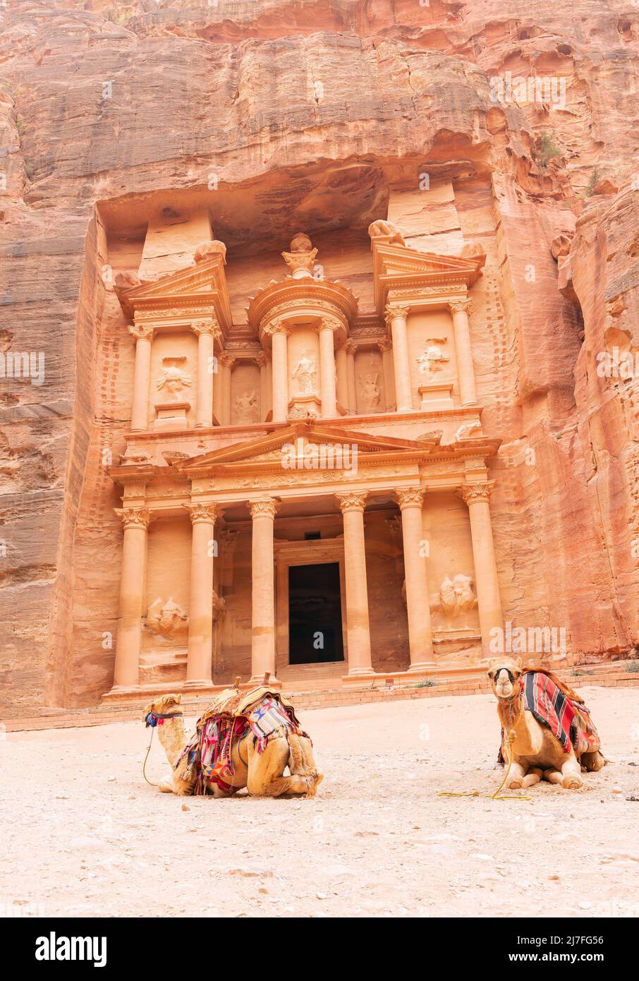 Spectacular view of two beautiful camels in front of Al Khazneh (The Treasury) at Petra. Petra is a historical and archaeological city in southern Jor Stock Photo