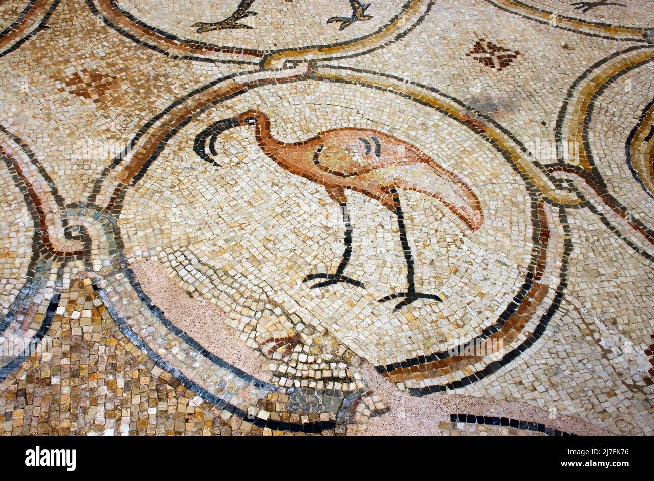 Israel, Coastal plains, Caesarea, The Palace of the ‘Birds Mosaic’ a 14.5 x 16m floor of a villa dating to the Byzantine period, 6-7th century CE Stock Photo