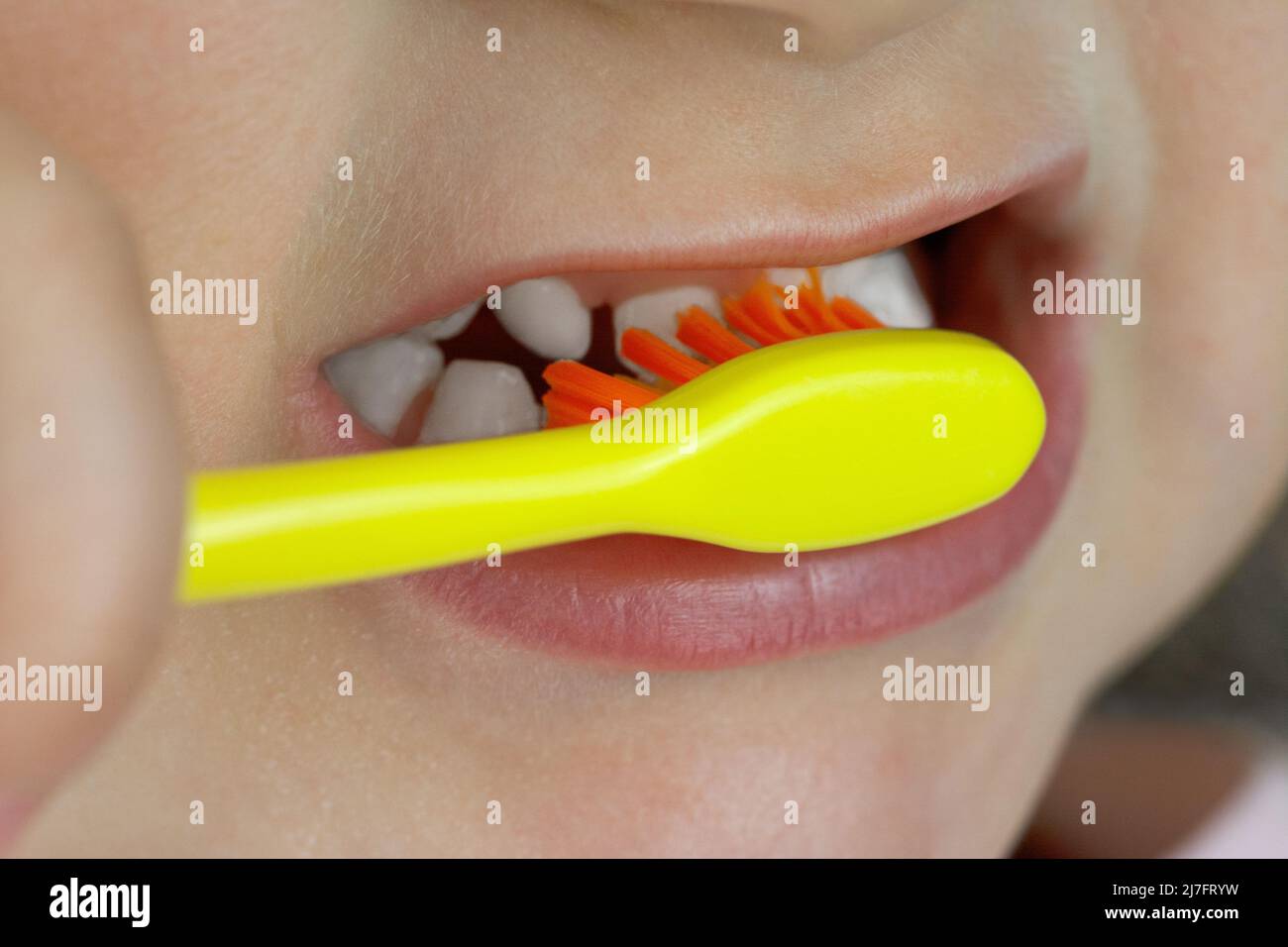 Child brushes her teeth with toothbrush Stock Photo Alamy