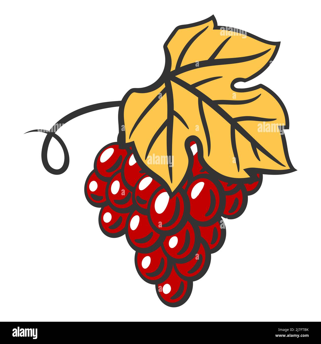 Illustration of bunch of red grapes. Winery image for restaurants and bars. Business and agricultural item. Stock Vector
