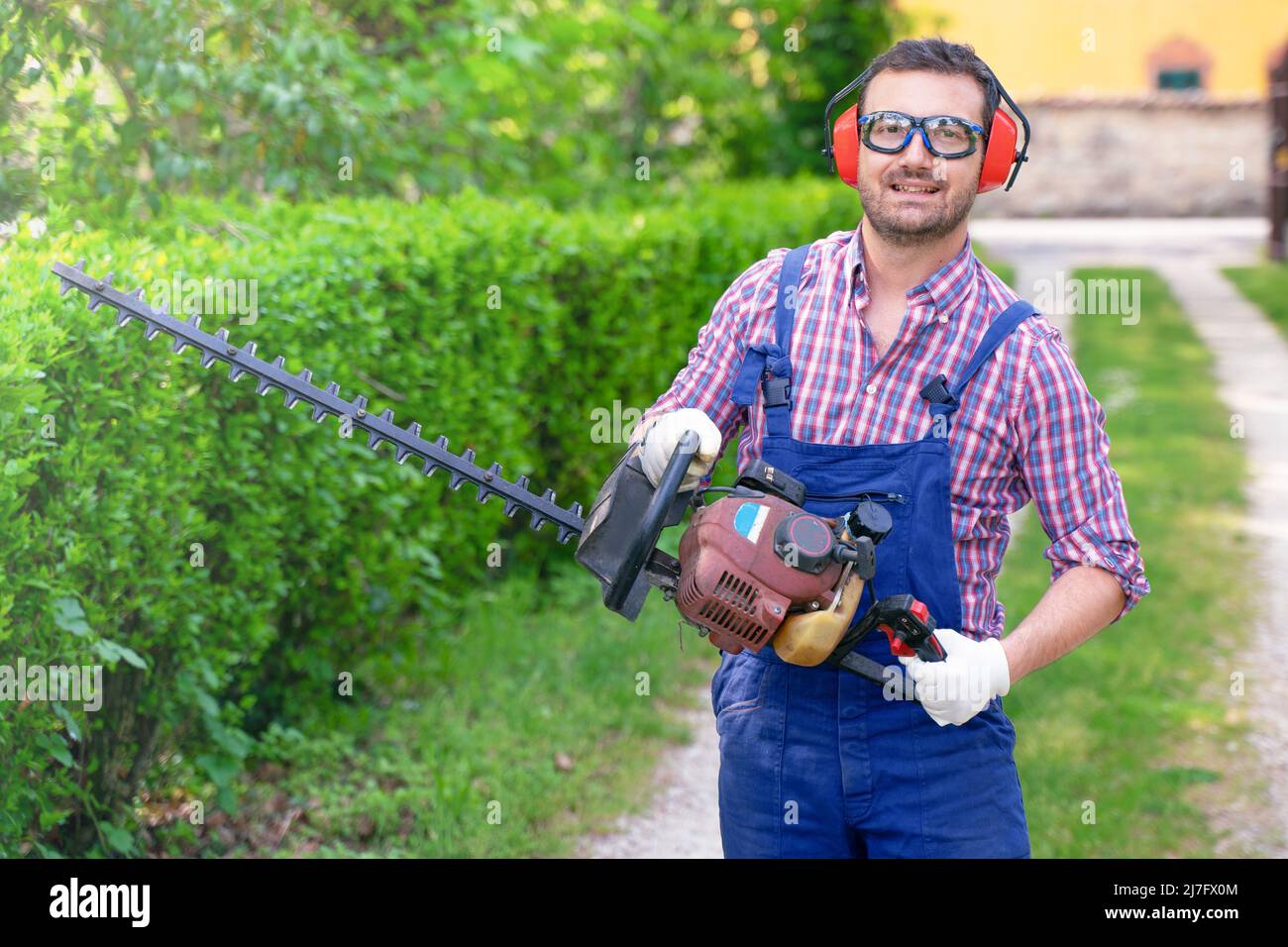One gardener shaping hedge using hedge trimmer Stock Photo