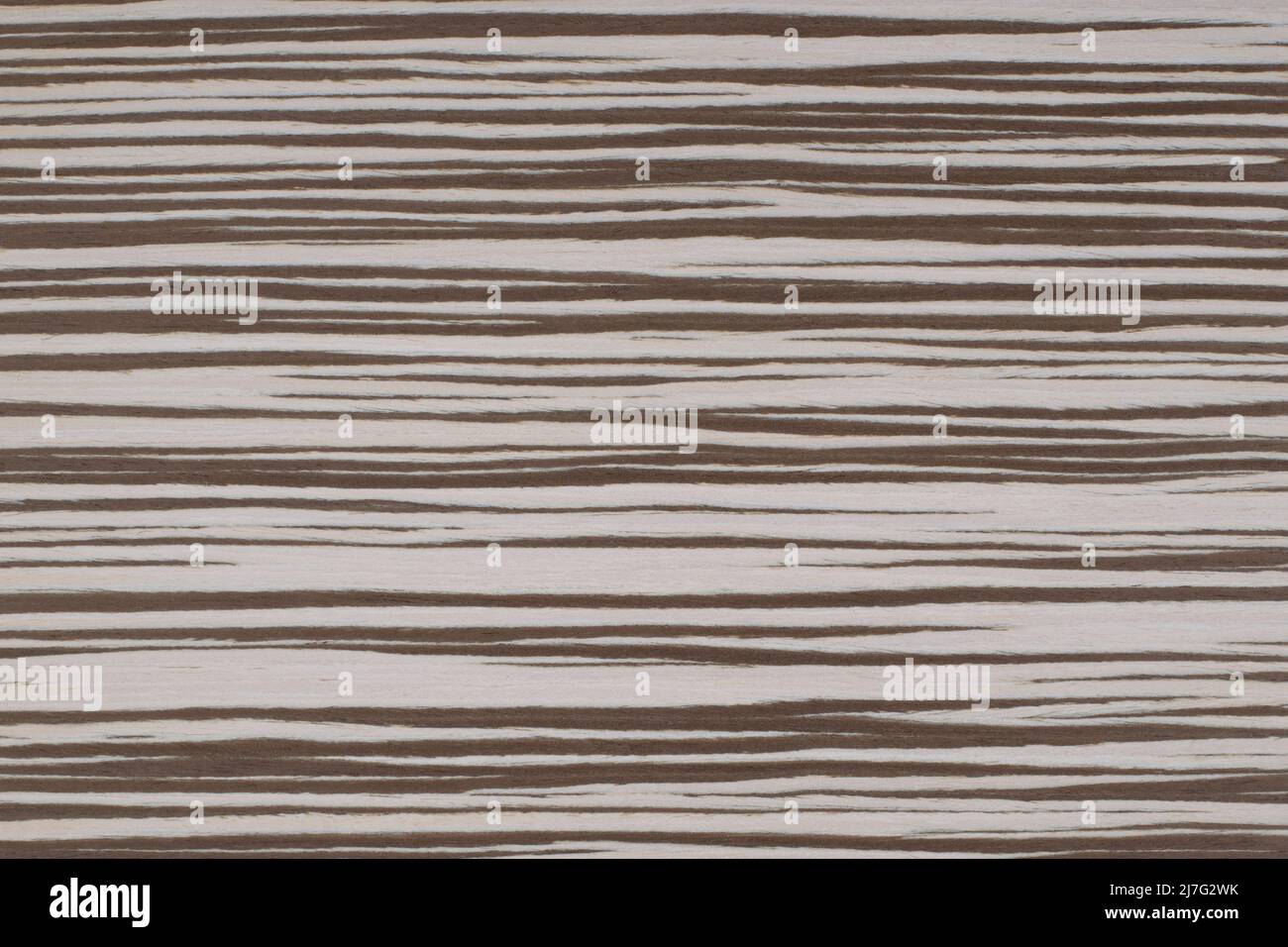 Zebrano 8 Exotic wood panel texture pattern Stock Photo