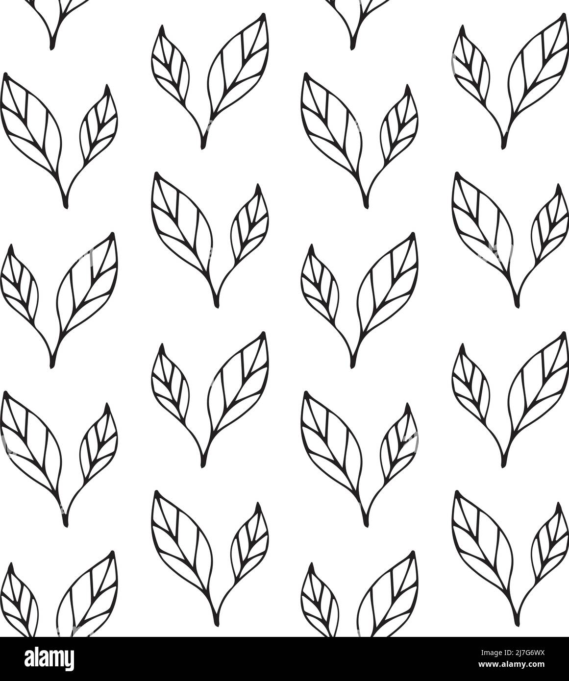 Vector seamless pattern of hand drawn doodle sketch leaves isolated on ...