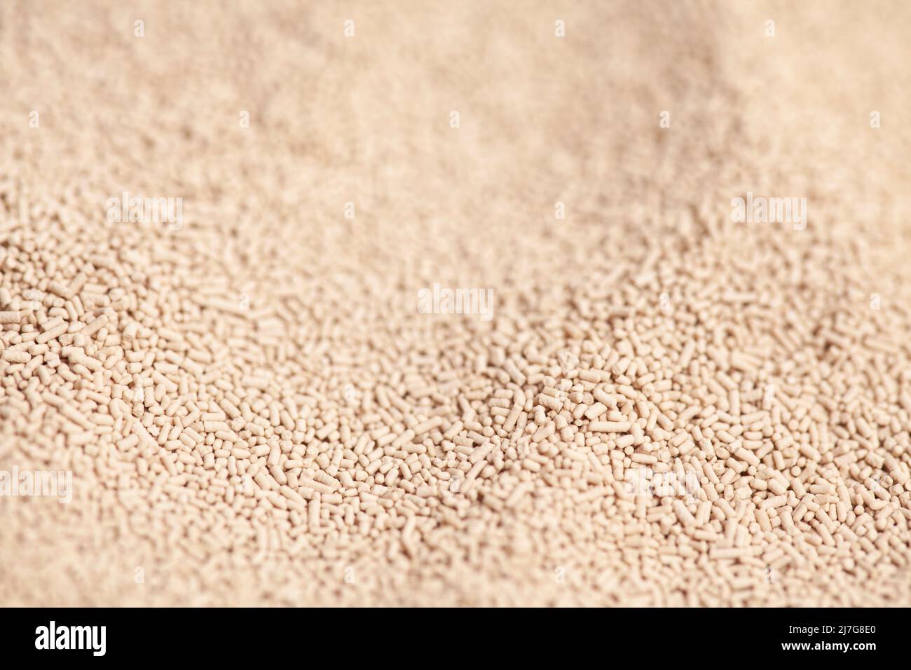 Active dry baking yeast granules background texture, top view Stock