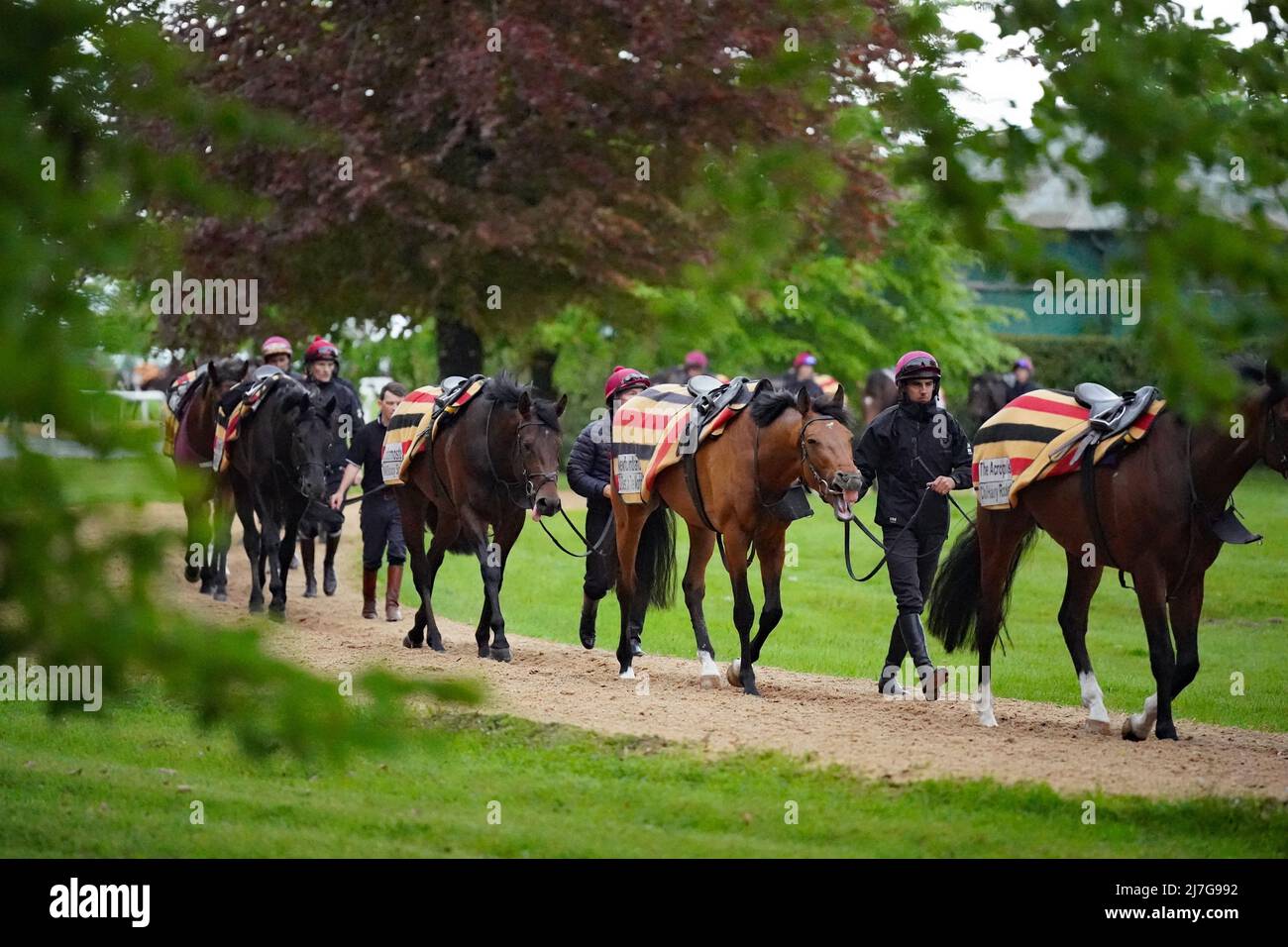 Aidan O'Brien trained horses are exercised at Ballydoyle racehorse ...